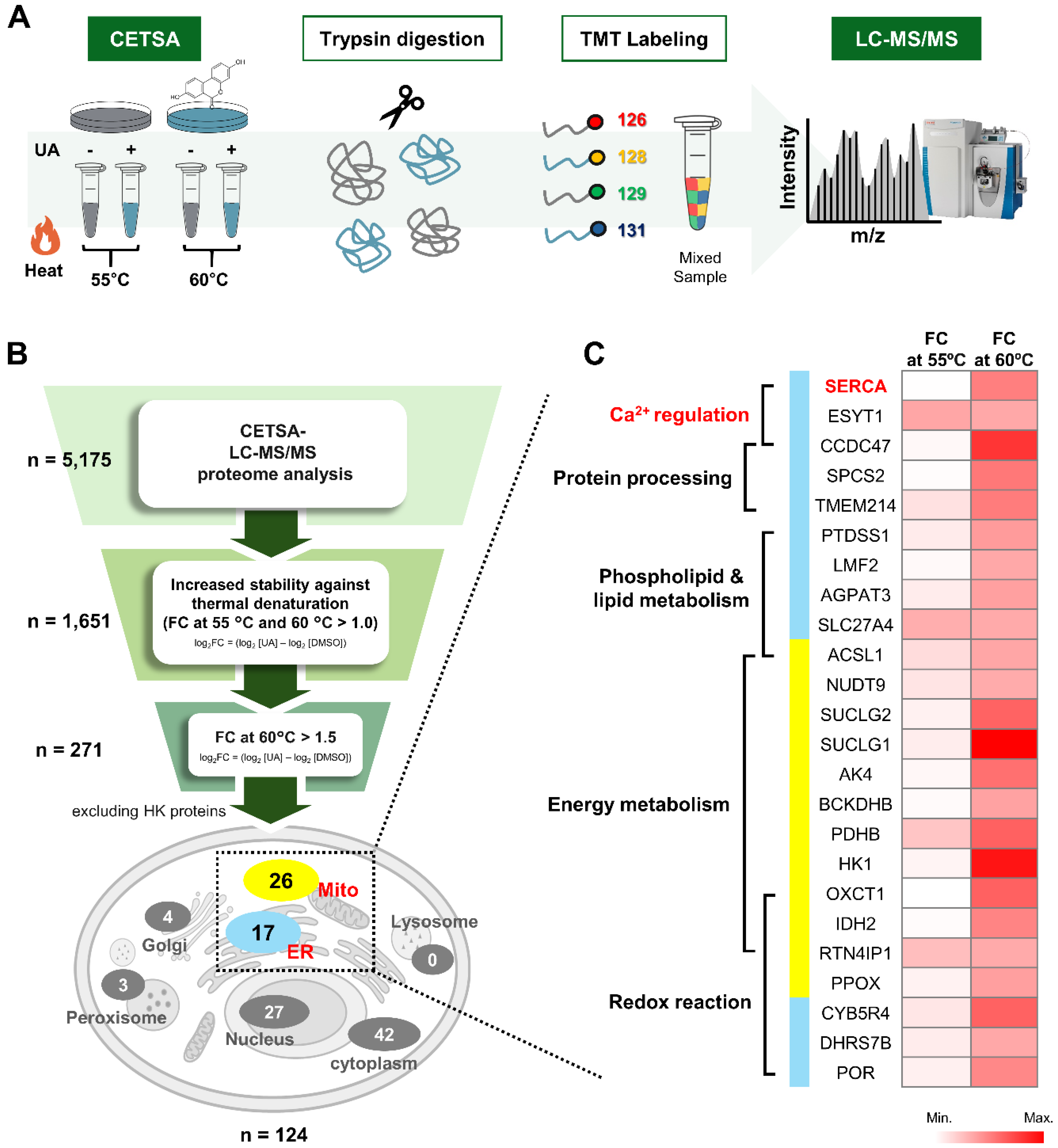 Preprints 120405 g002