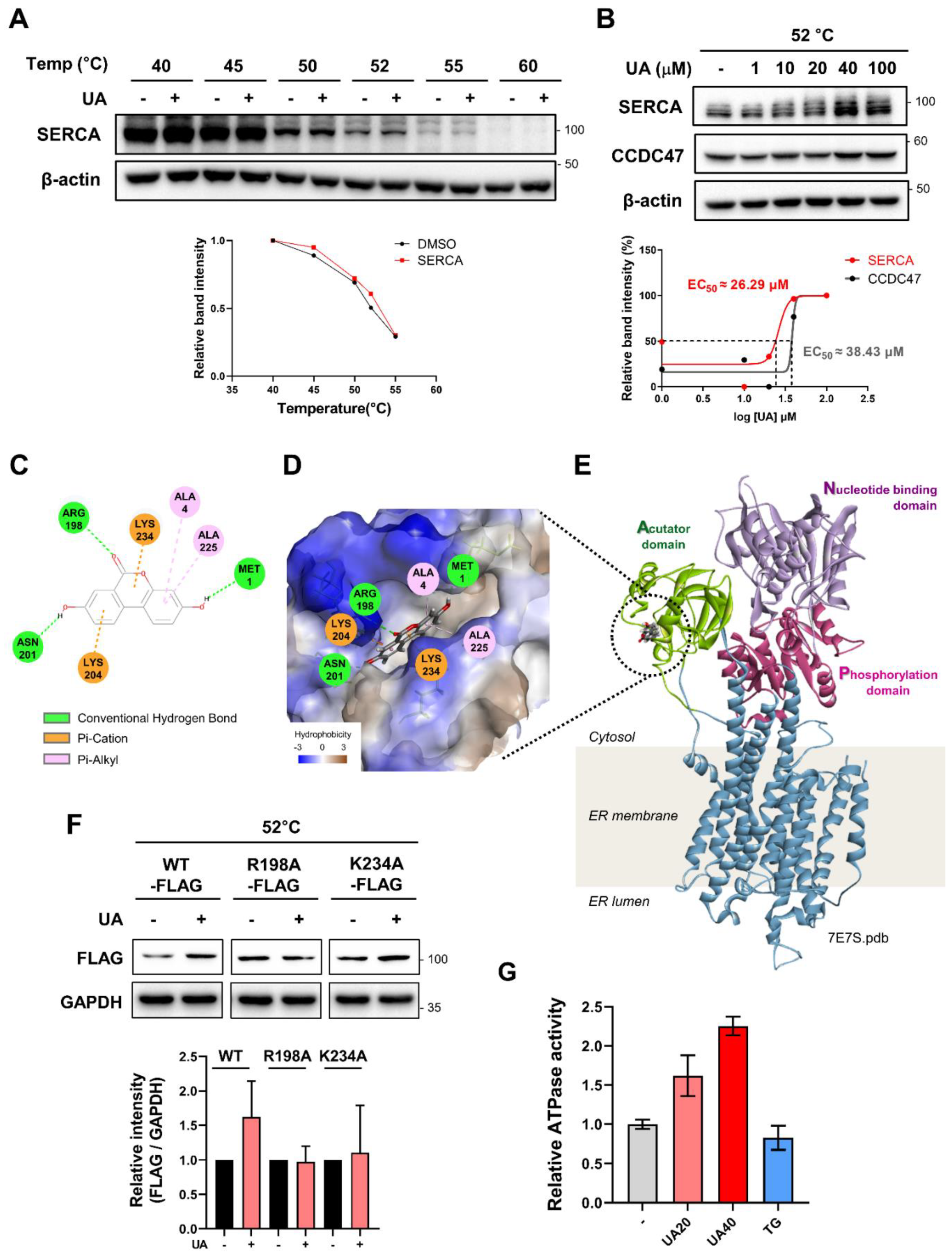 Preprints 120405 g003