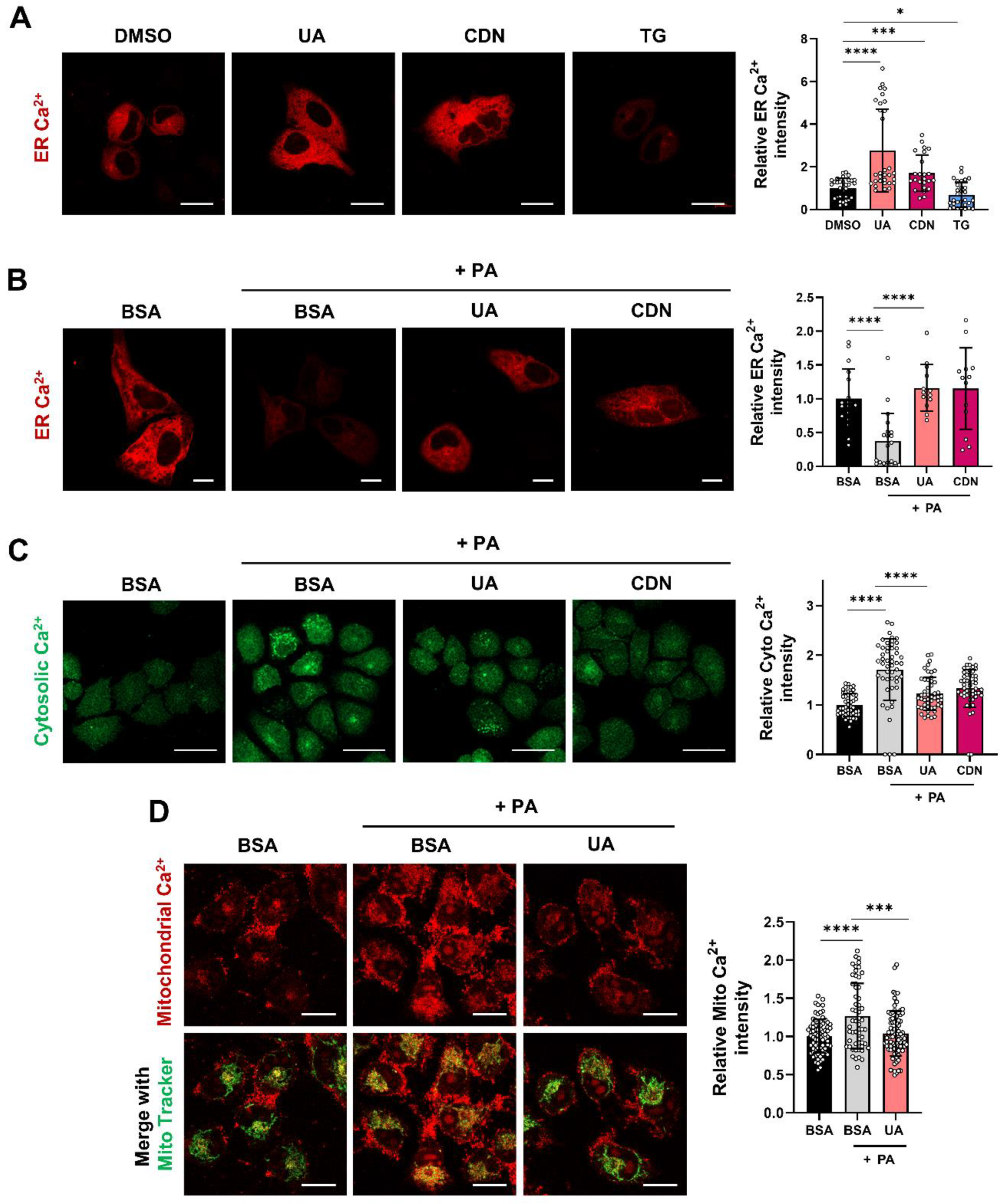 Preprints 120405 g004