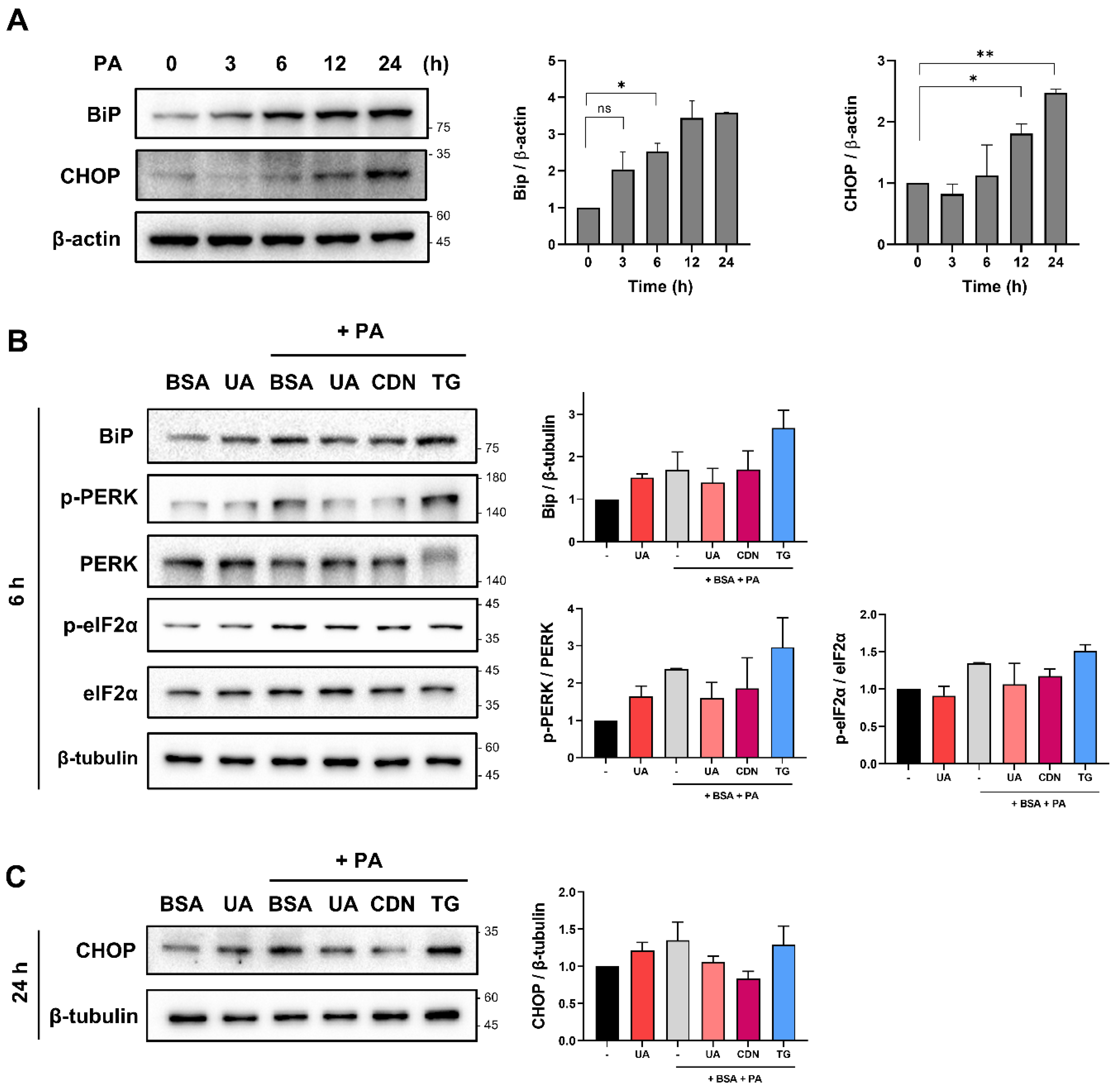 Preprints 120405 g005