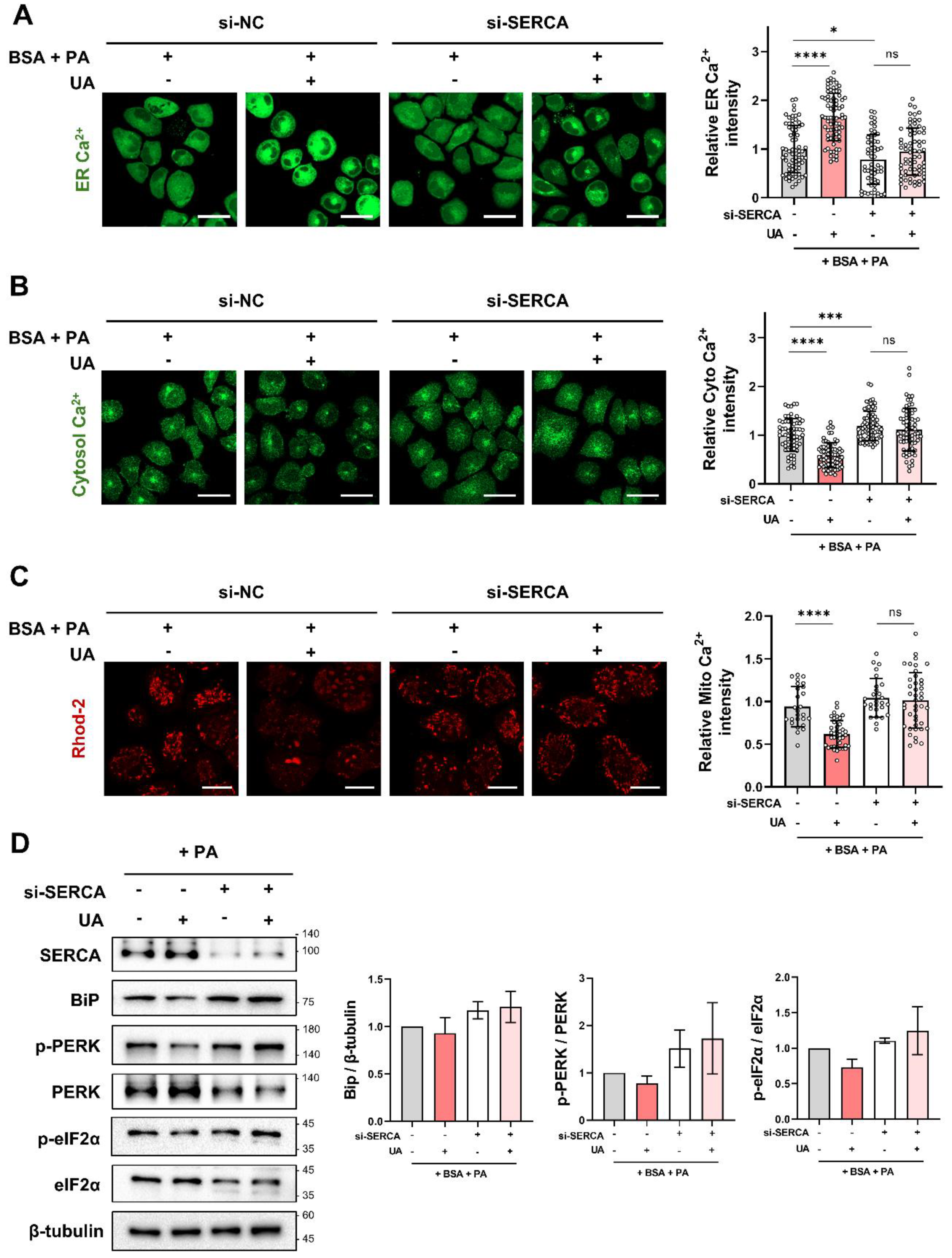 Preprints 120405 g006