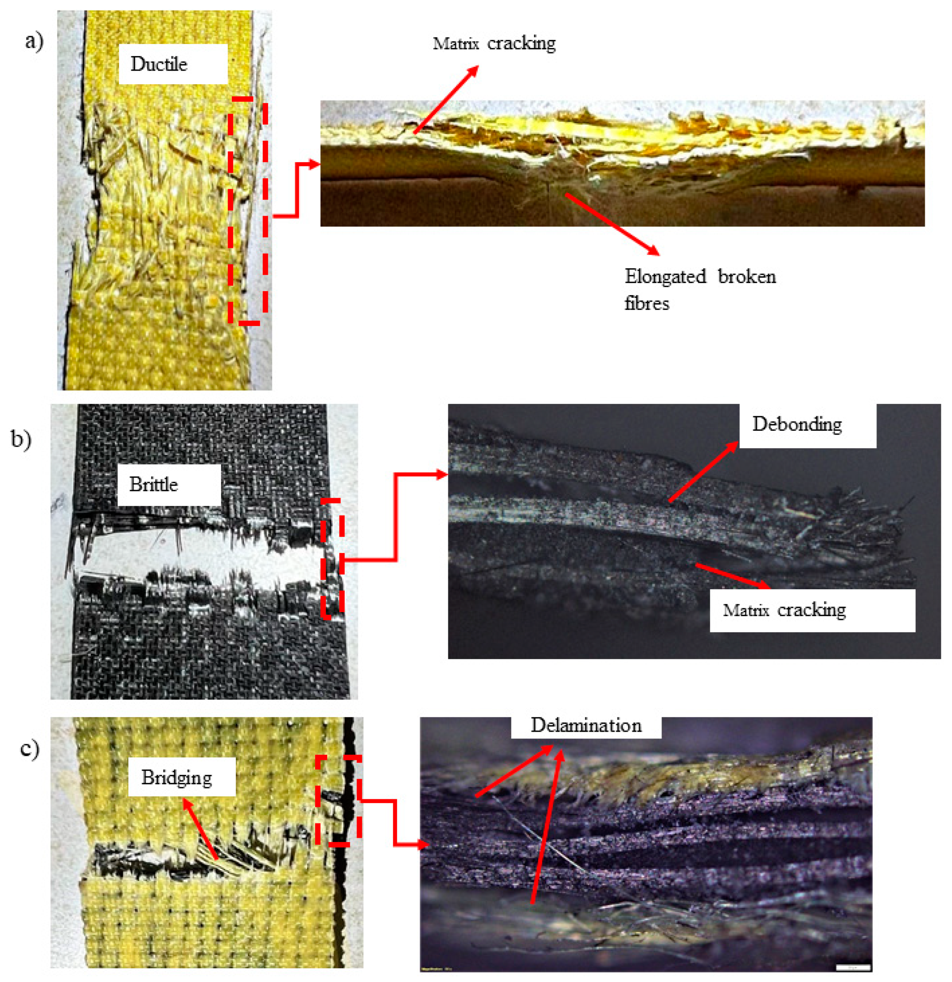 Preprints 89476 g010