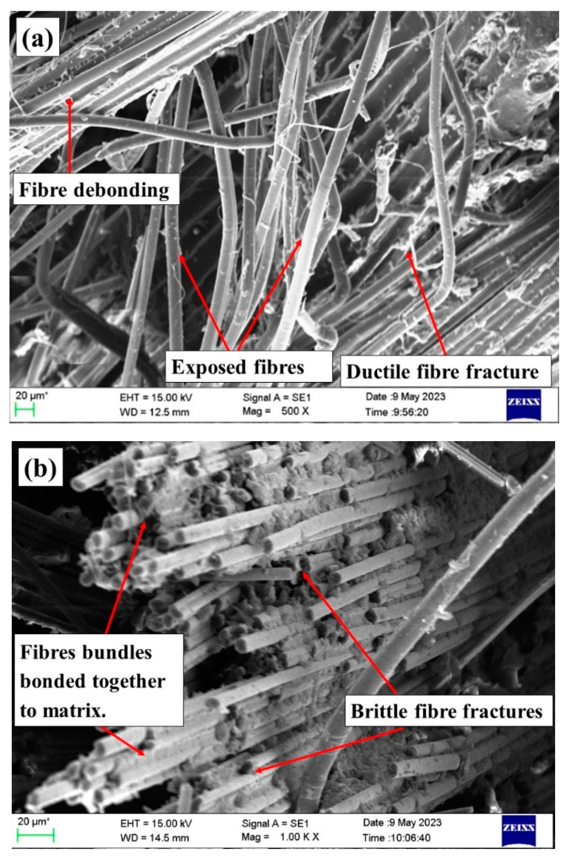 Preprints 89476 g011