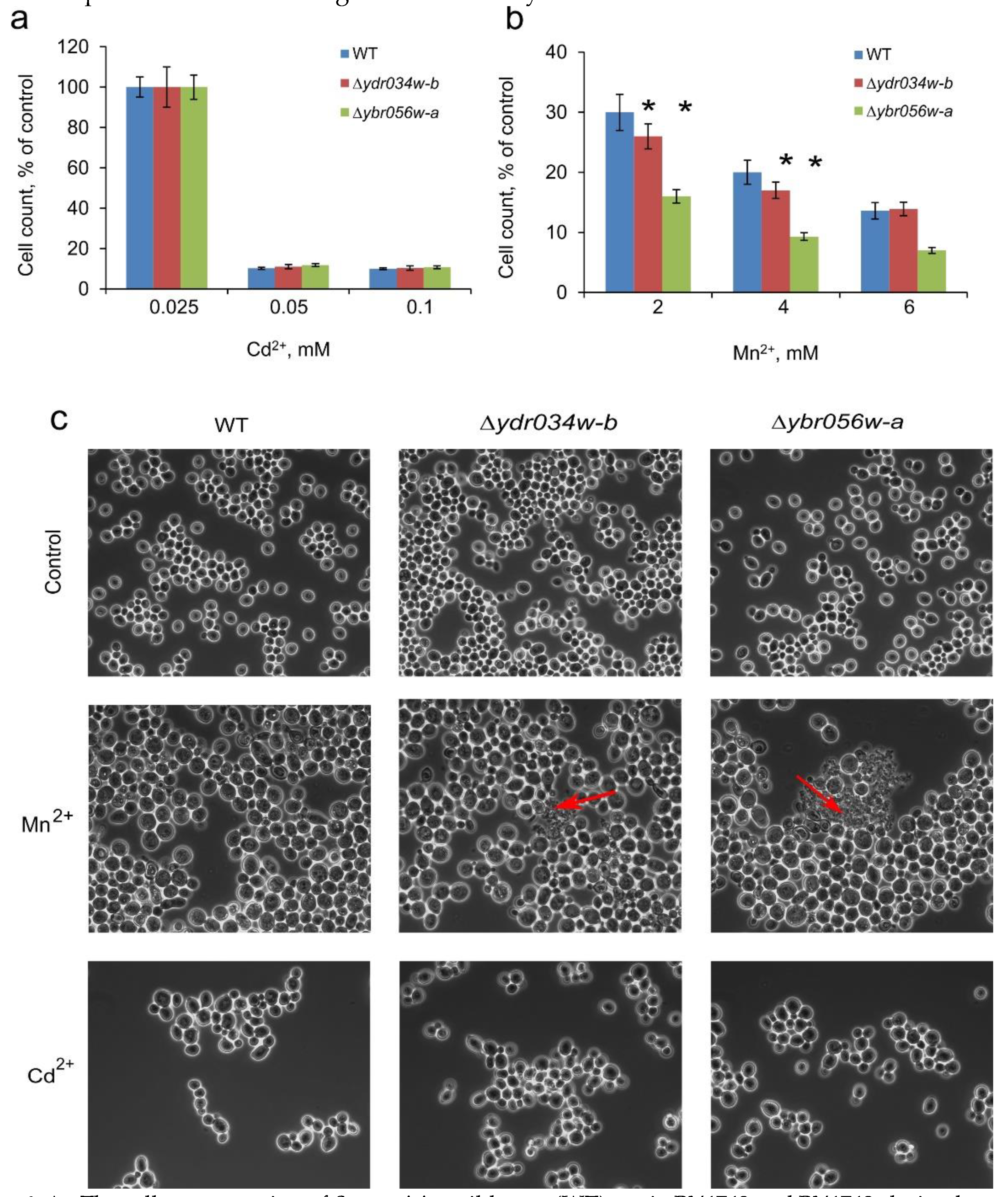 Preprints 71640 g006