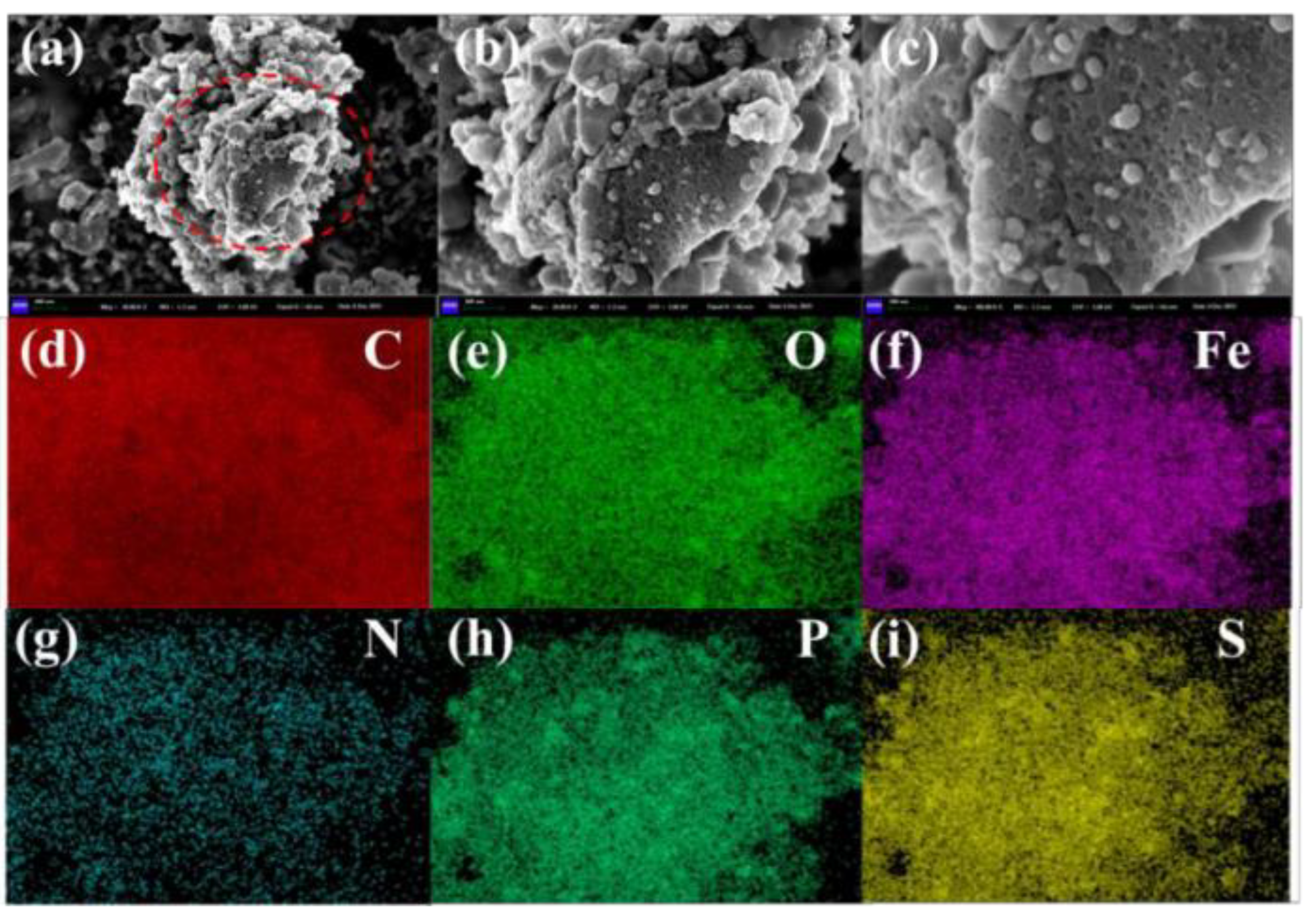 Preprints 117926 g003