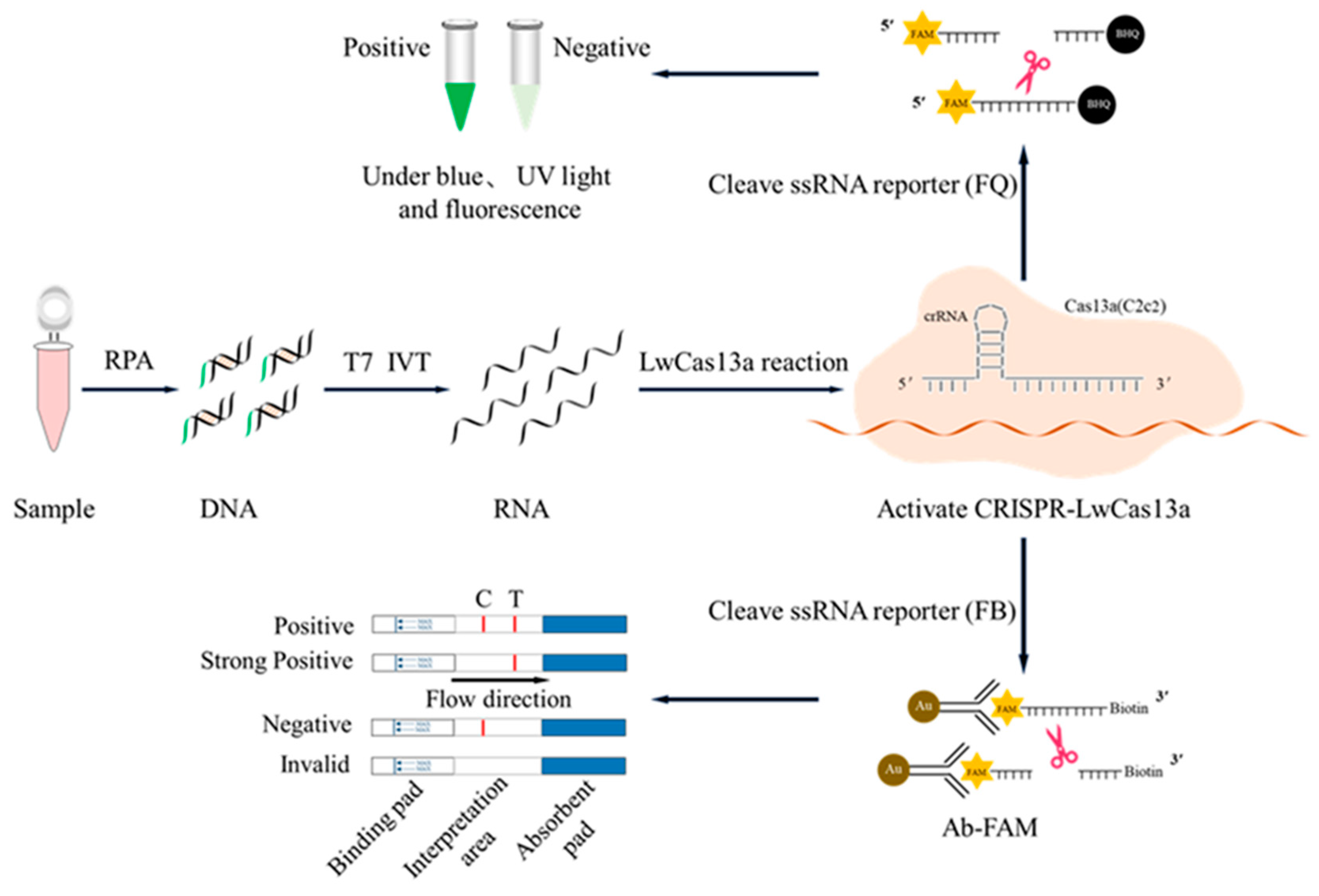 Preprints 92392 g001