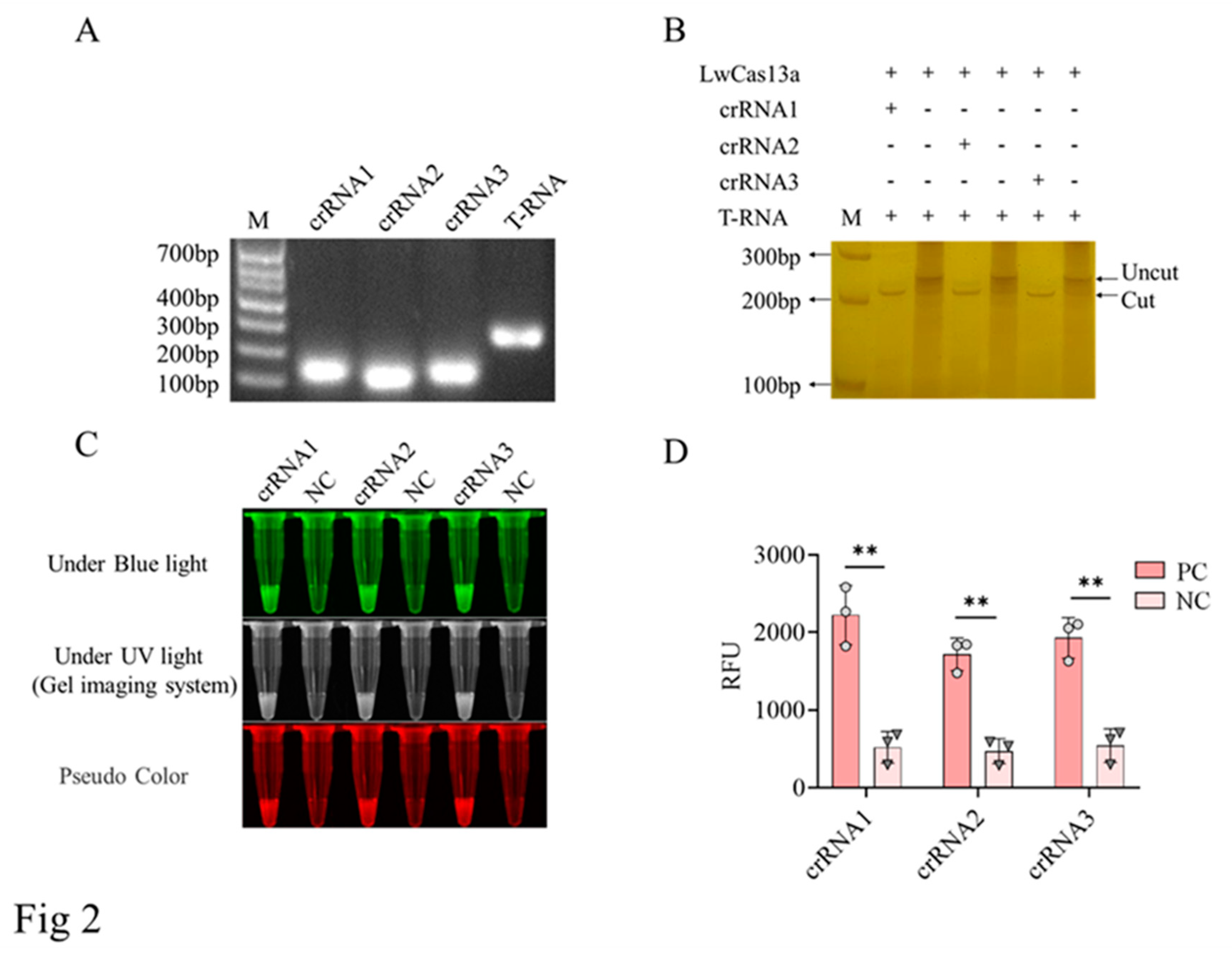 Preprints 92392 g002