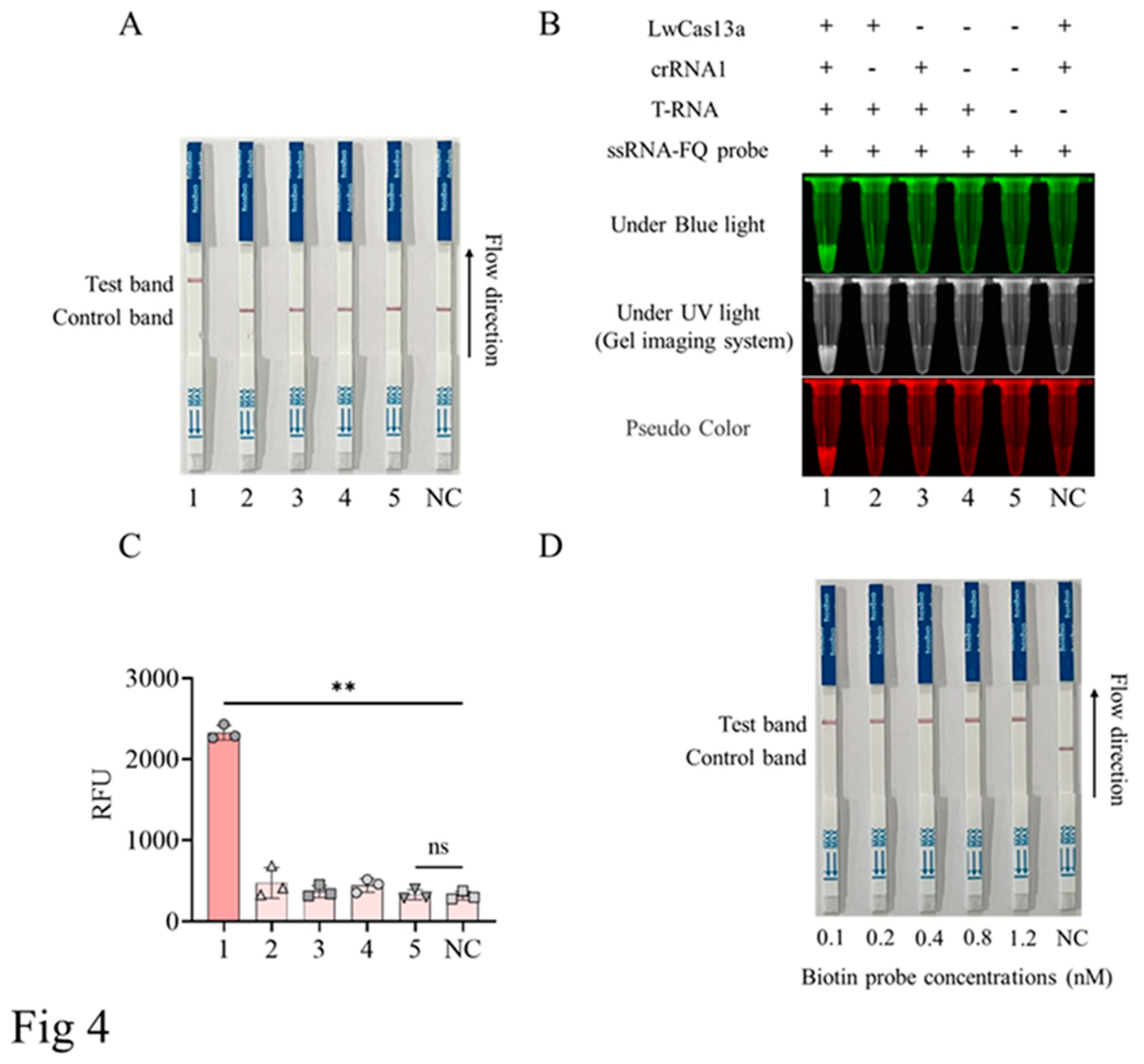 Preprints 92392 g004