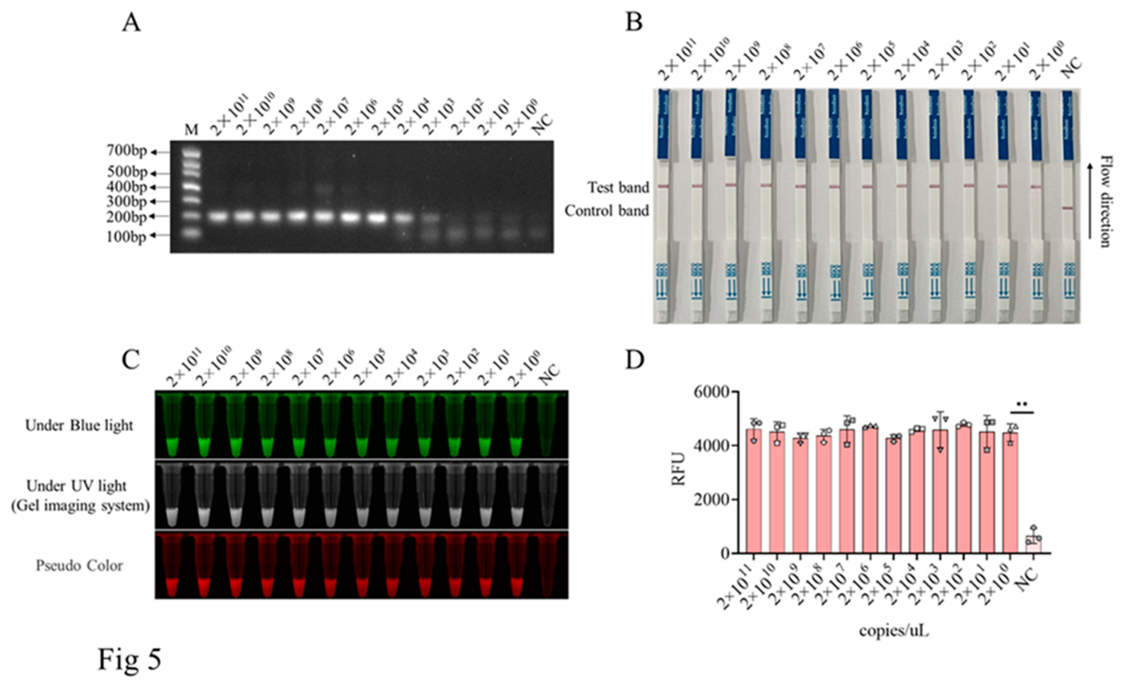 Preprints 92392 g005