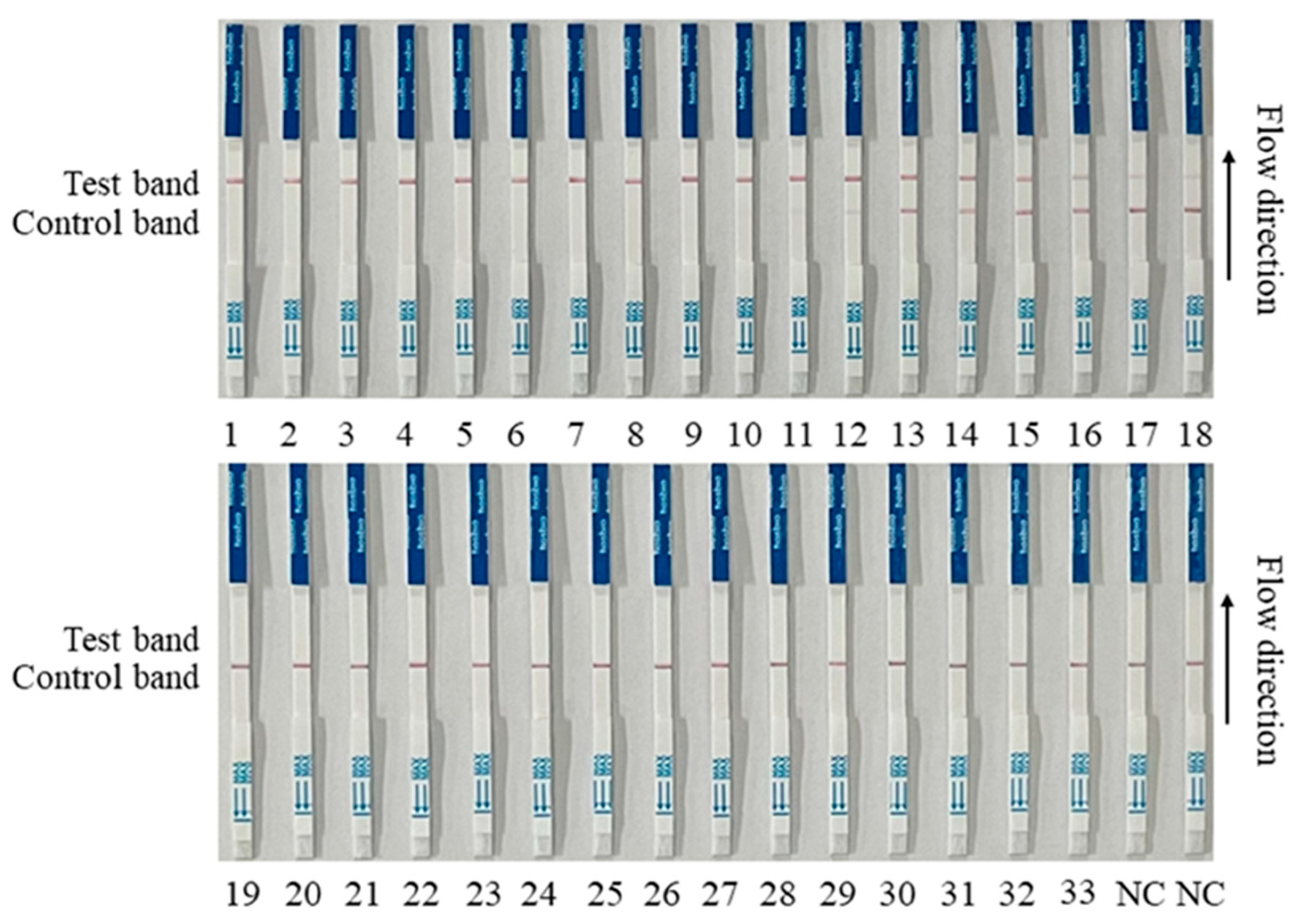 Preprints 92392 g007