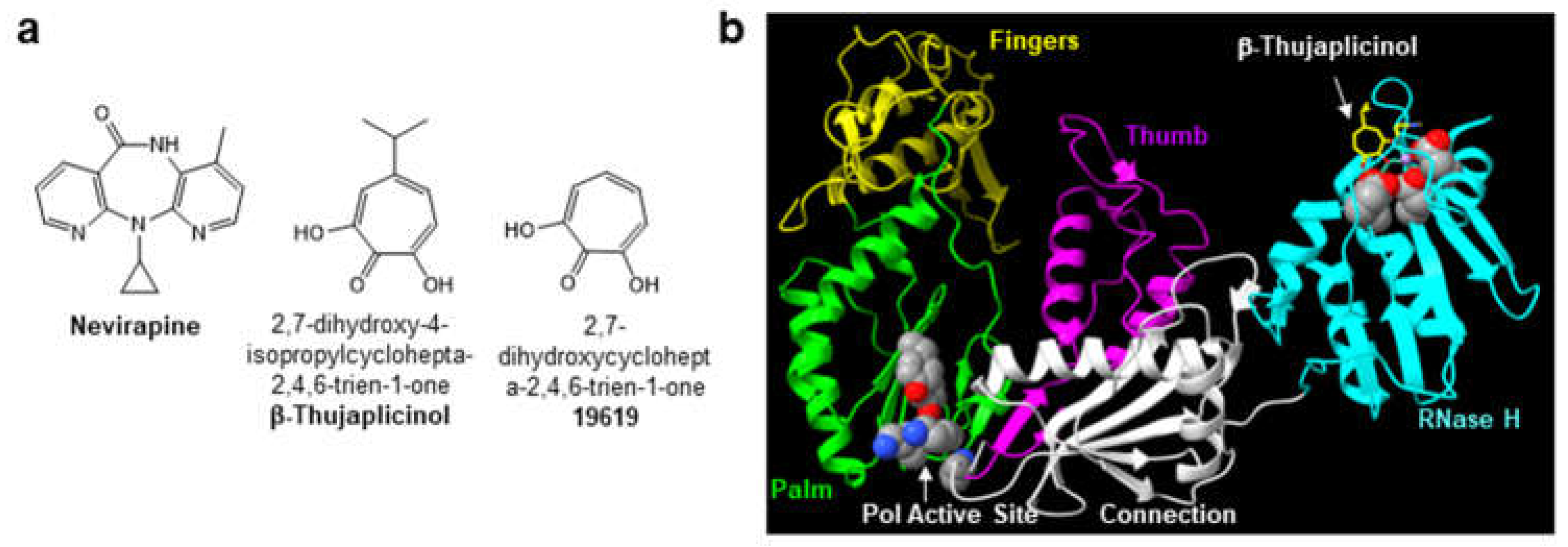 Preprints 108083 g001