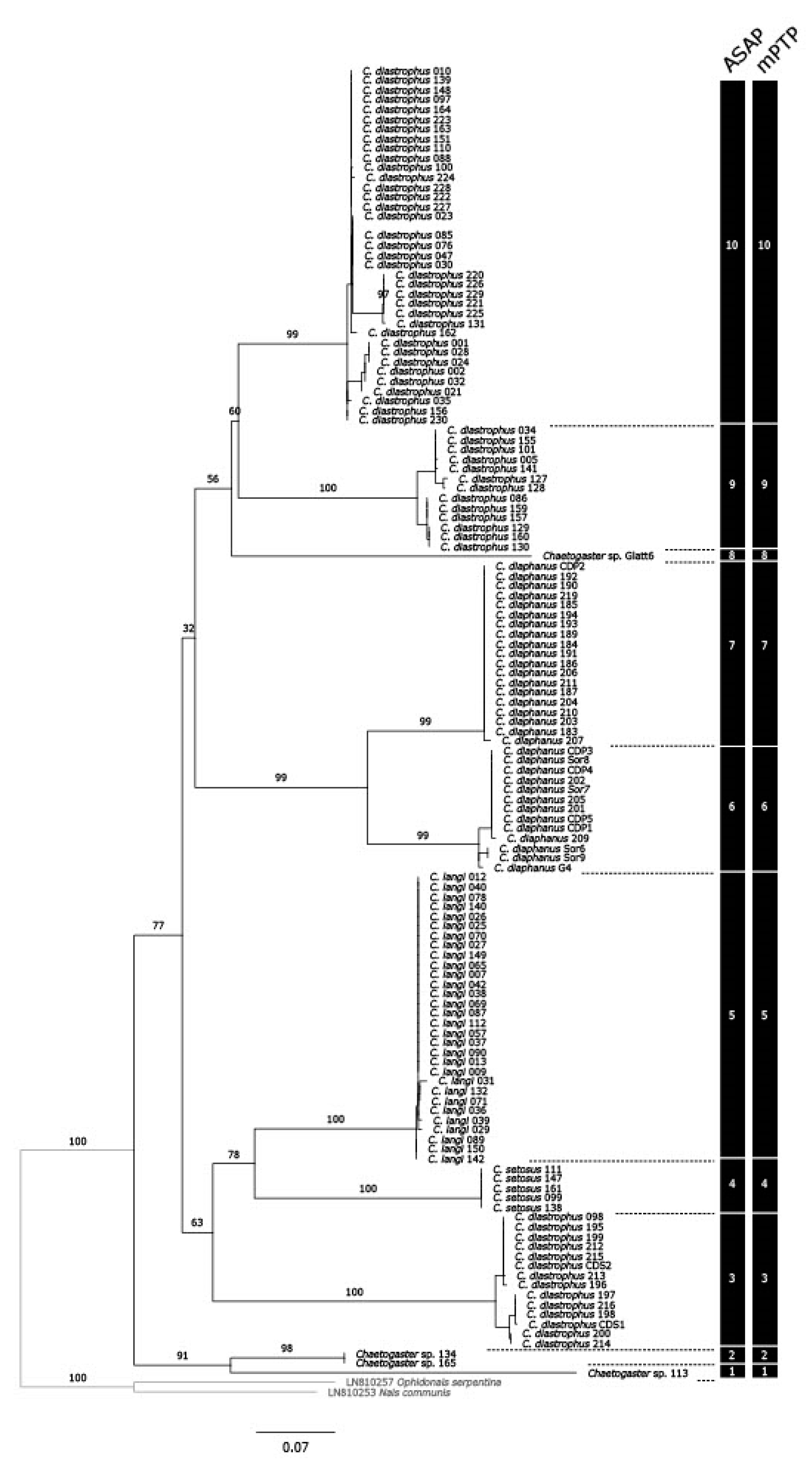 Preprints 114629 g001