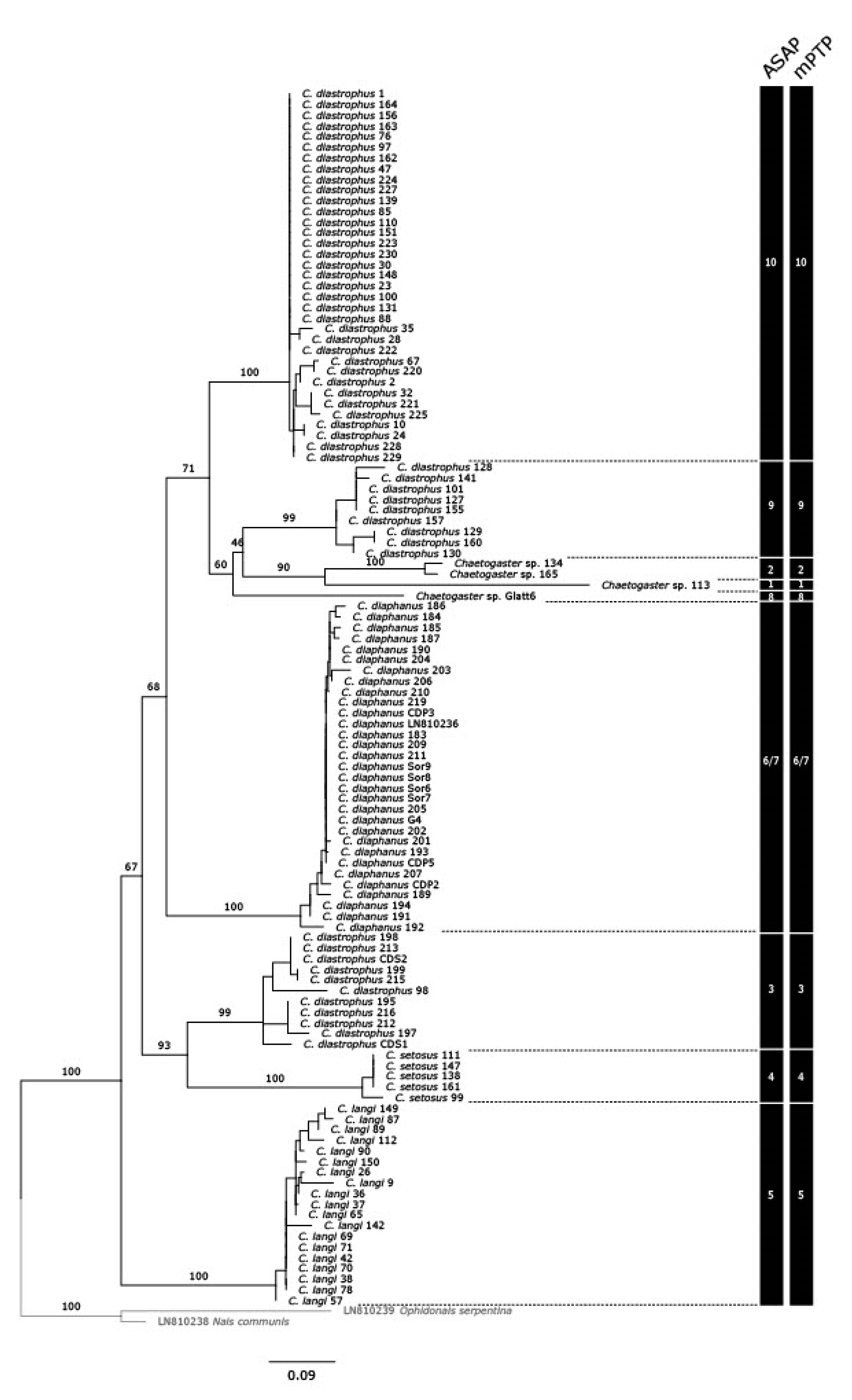 Preprints 114629 g002