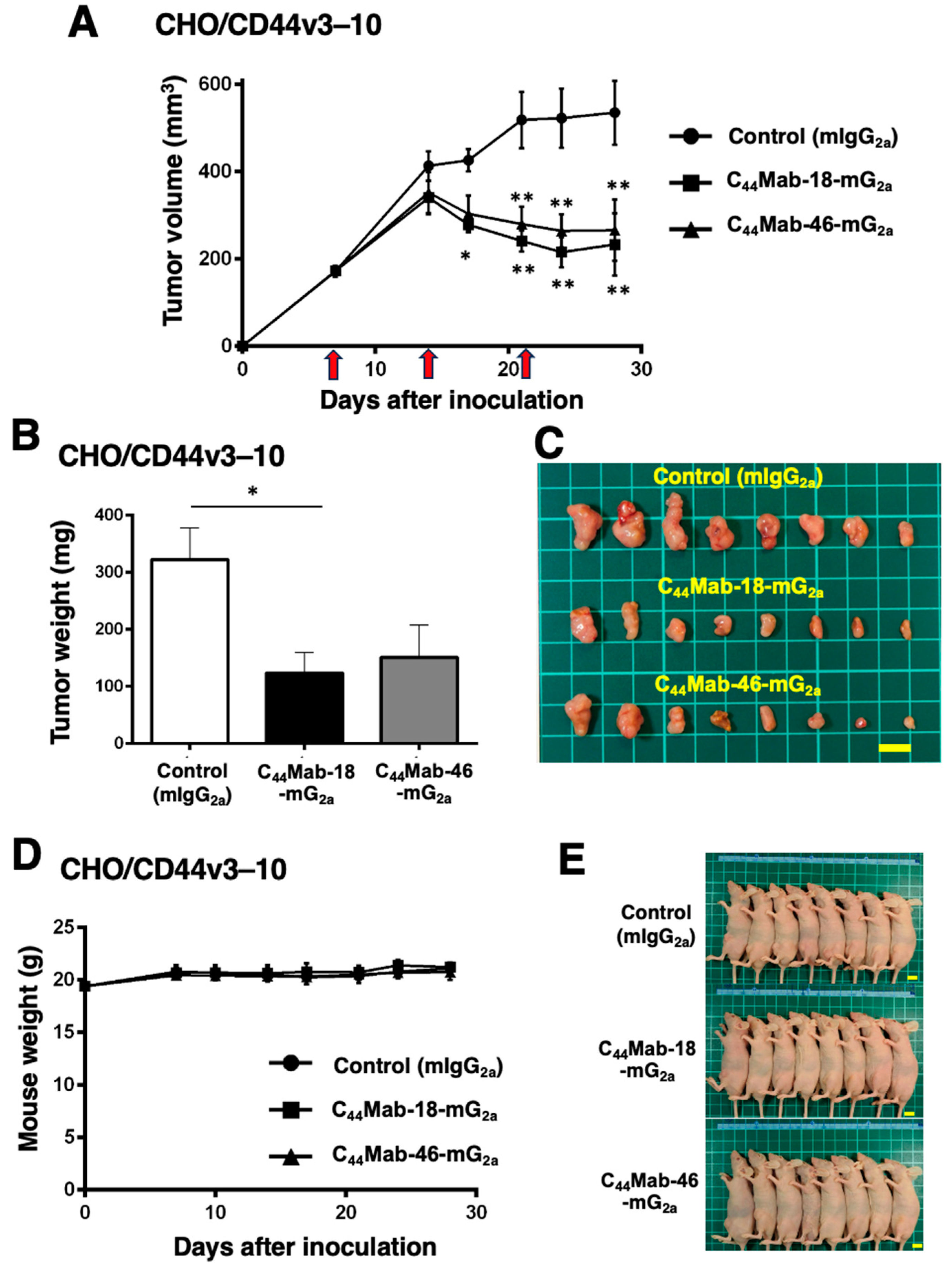 Preprints 114163 g004