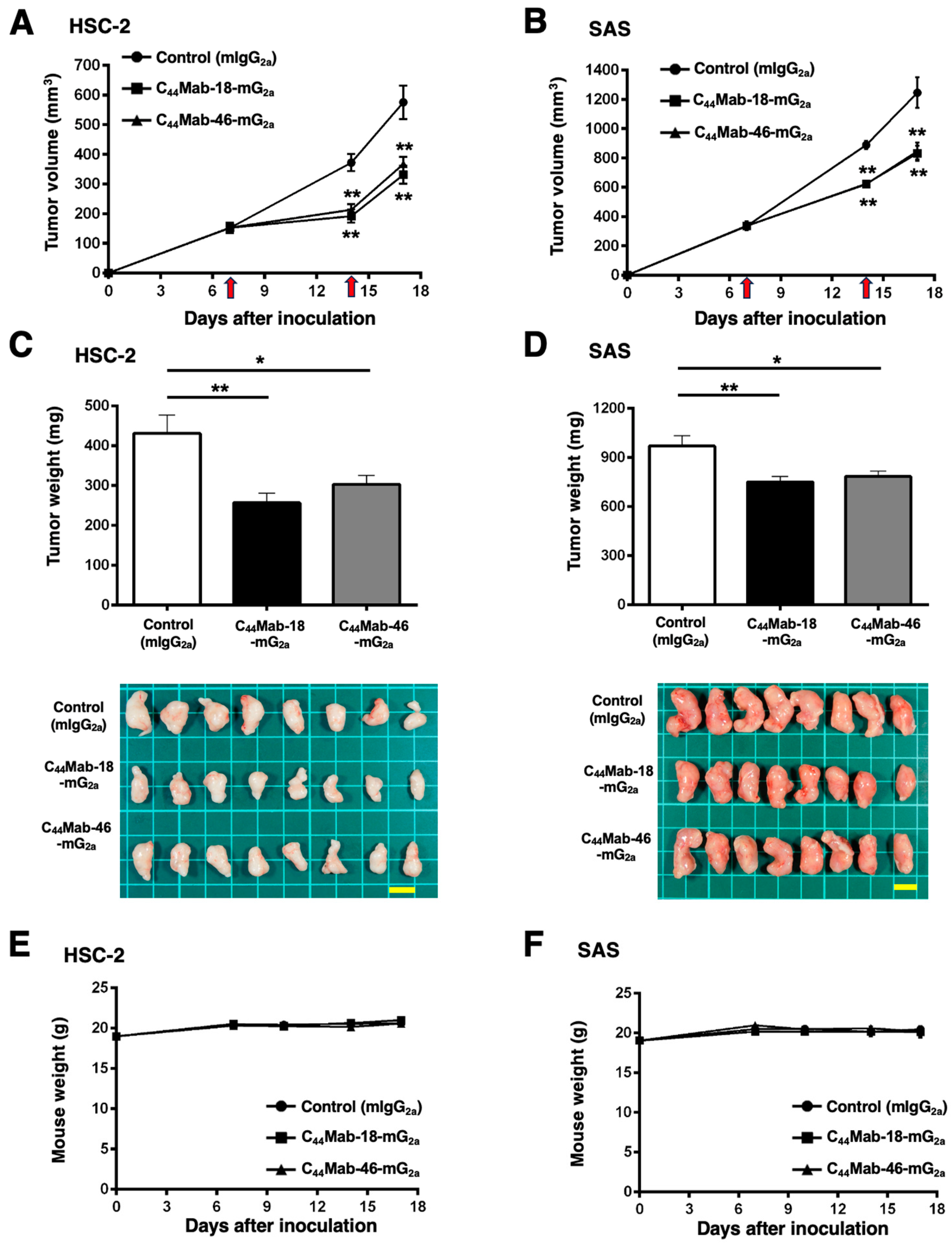 Preprints 114163 g006