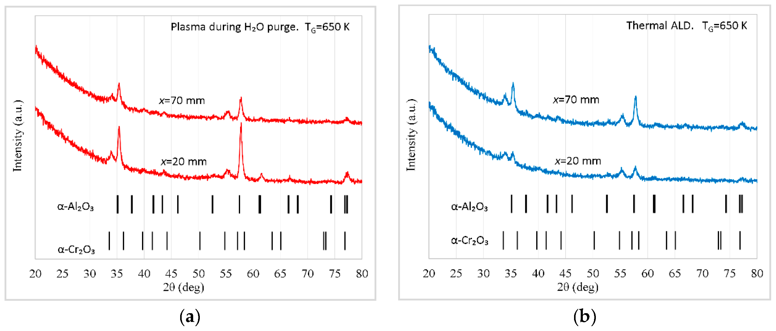 Preprints 100309 g009