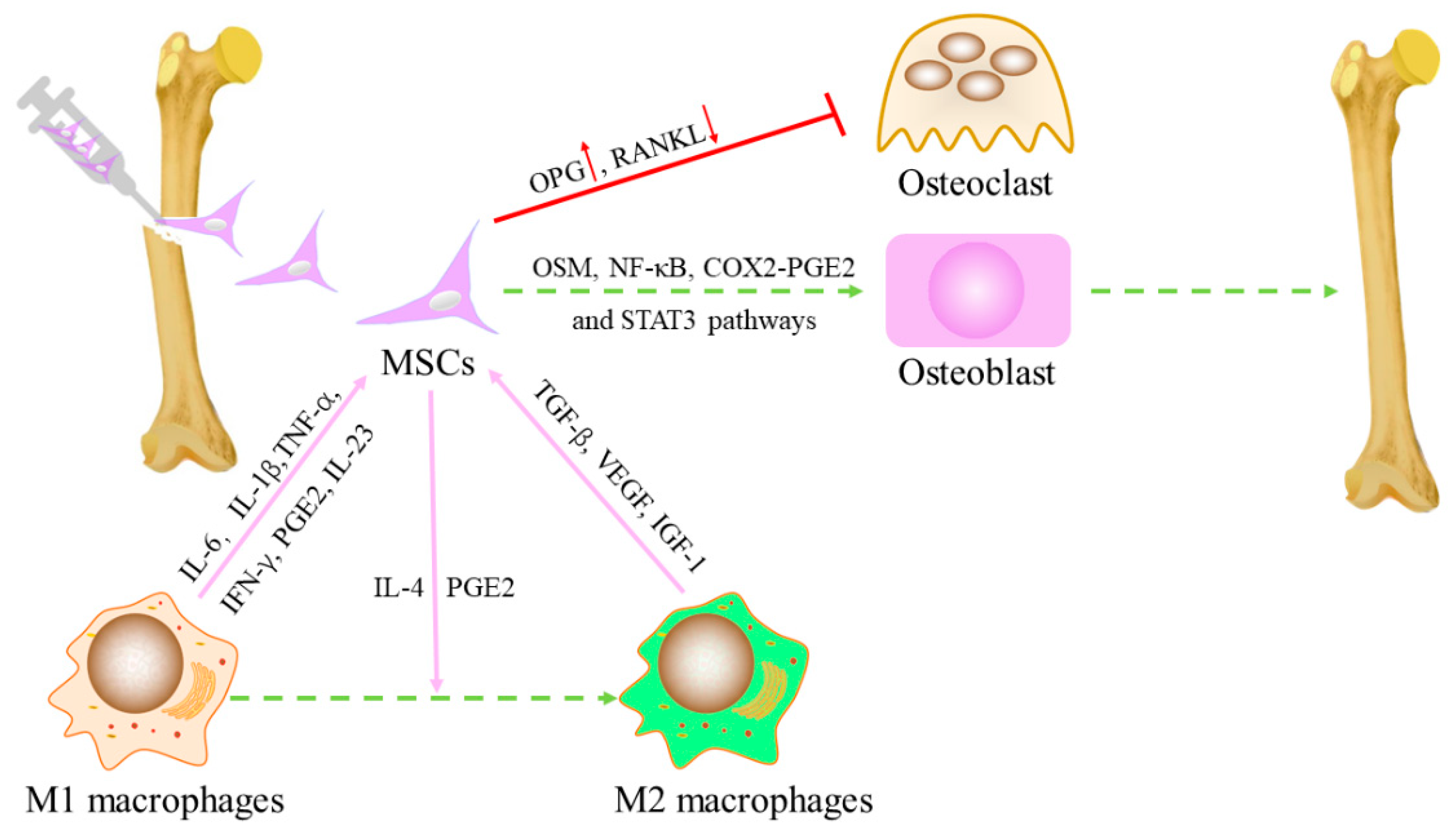 Preprints 83240 g002