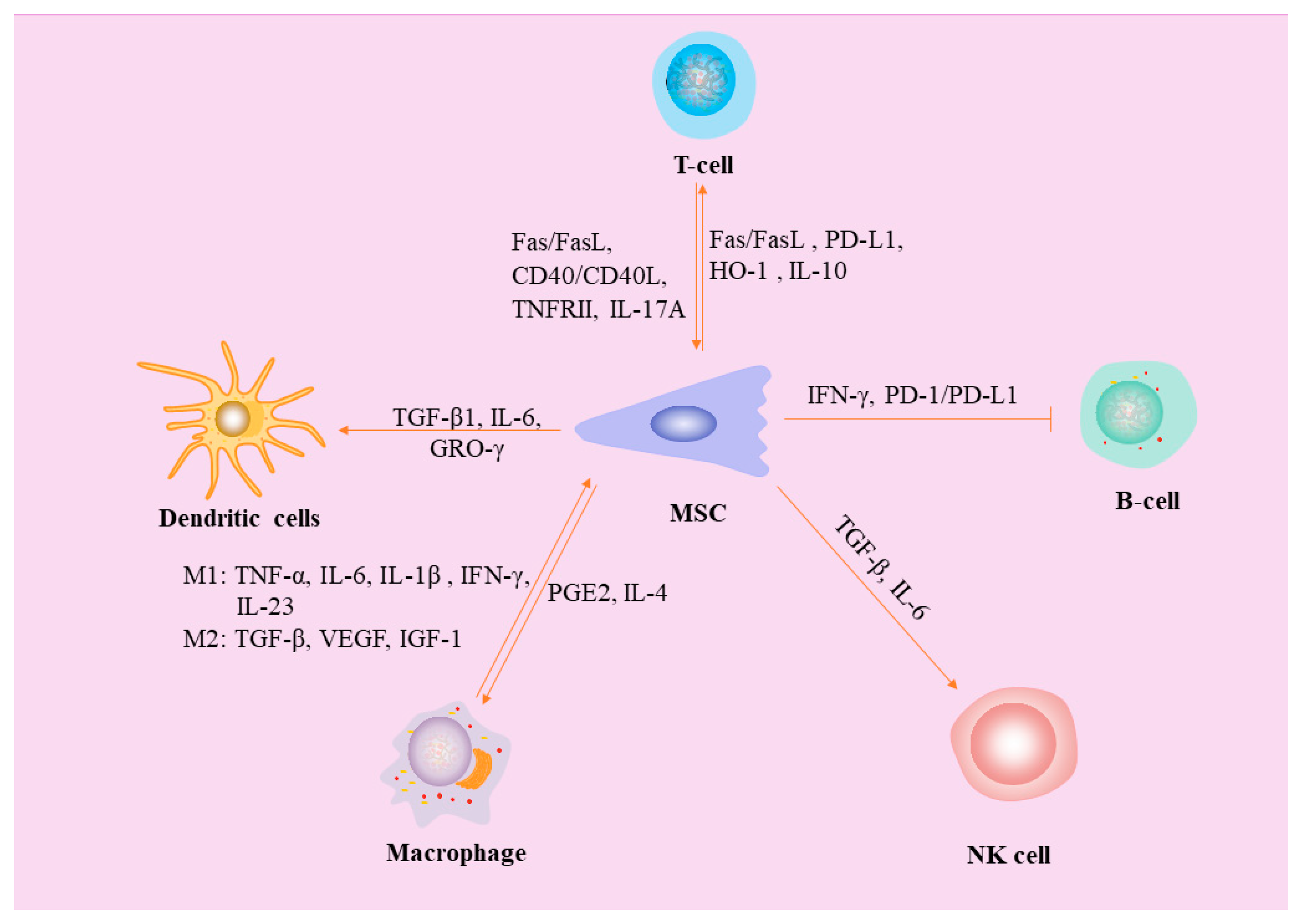 Preprints 83240 g003