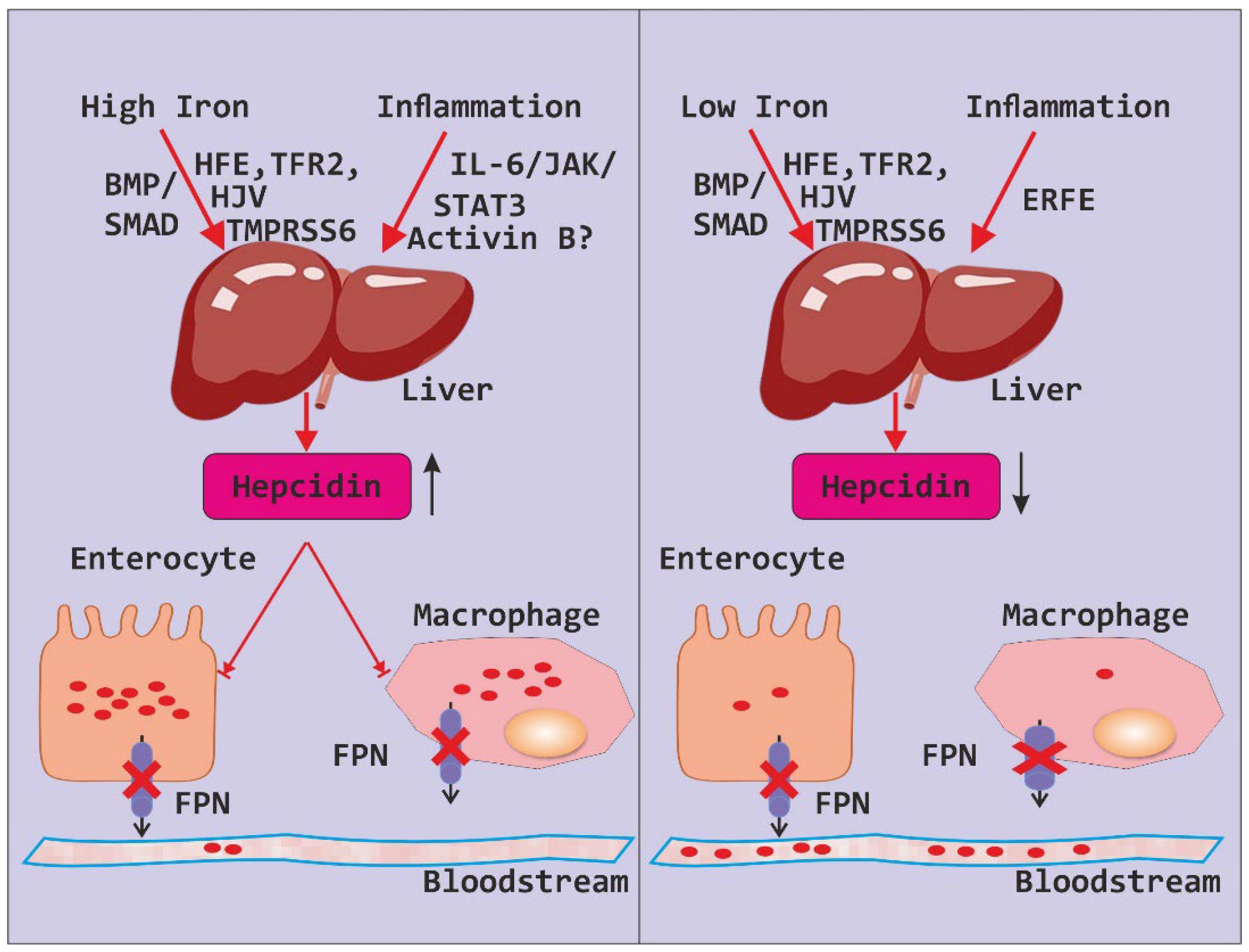 Preprints 104309 g002