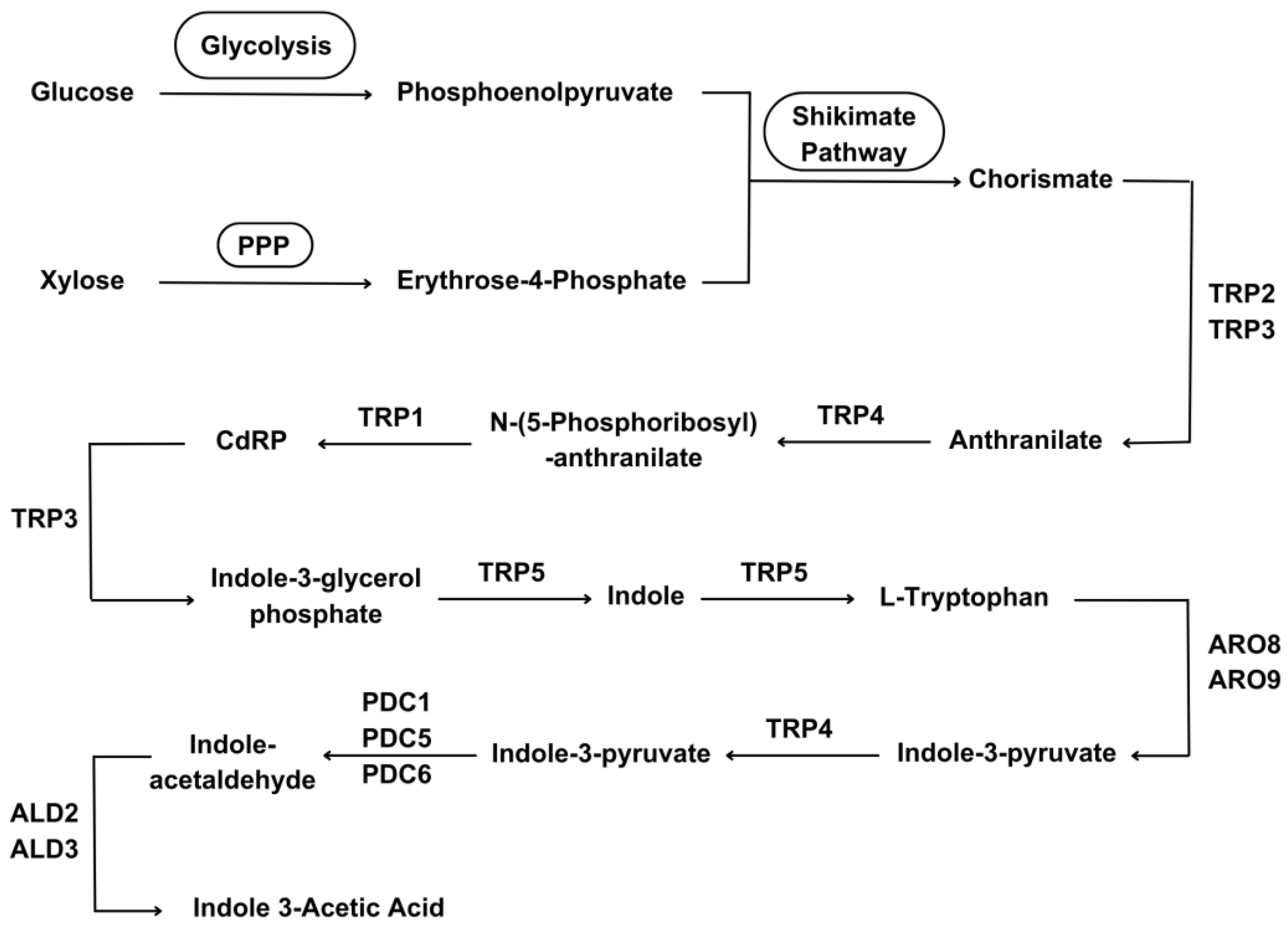 Preprints 120072 g002