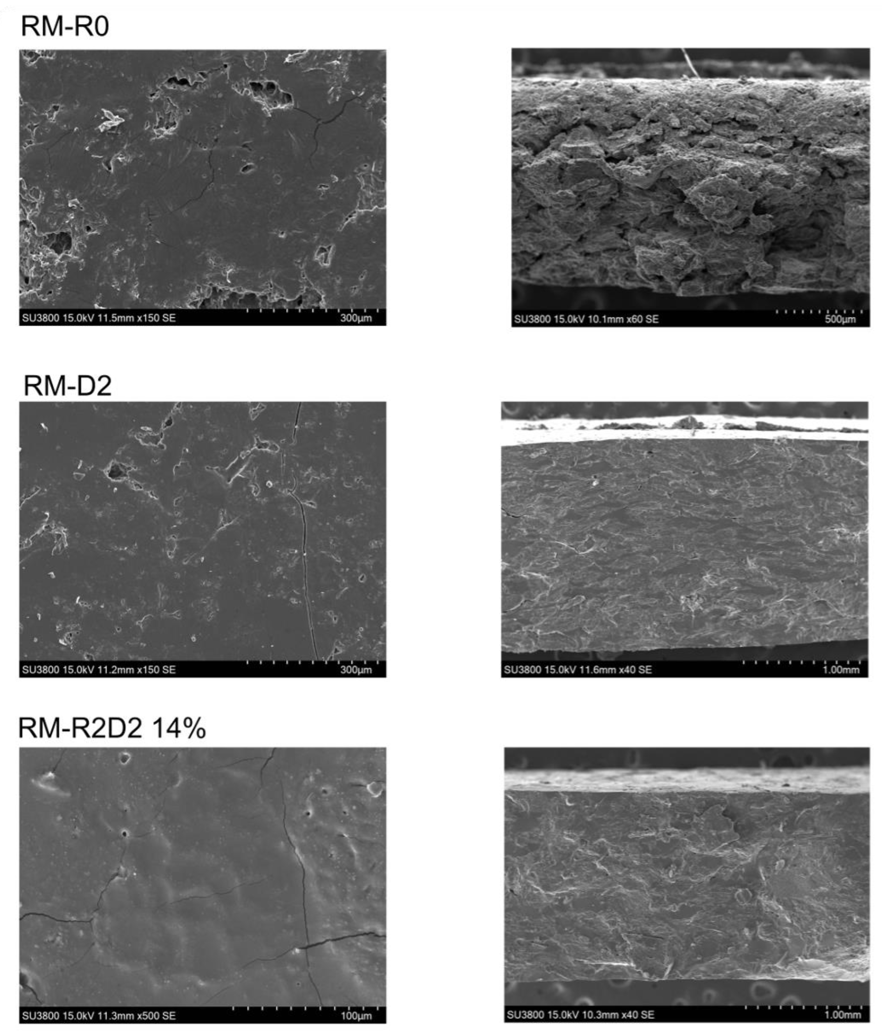 Preprints 110400 g005