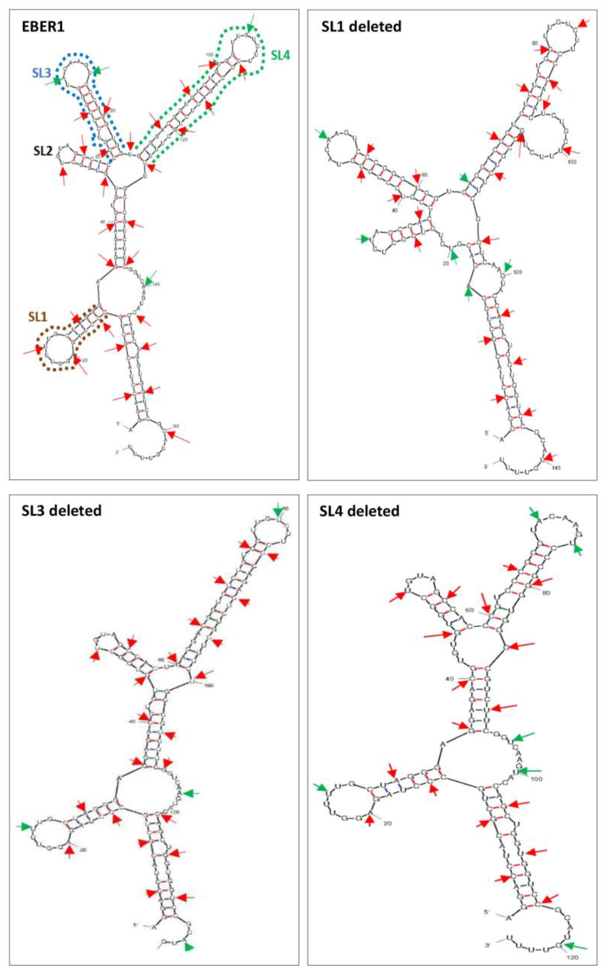 Preprints 72173 g001