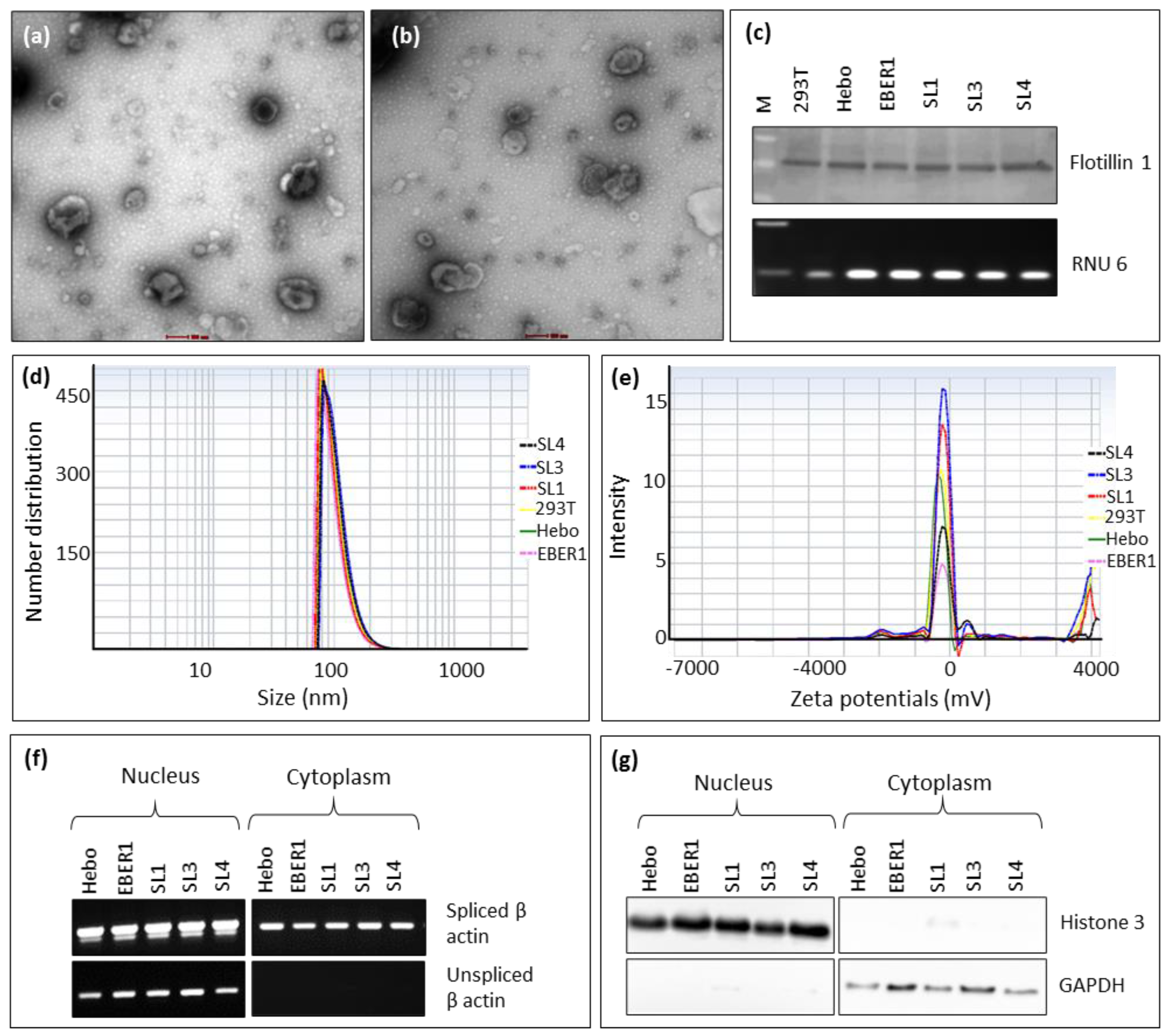 Preprints 72173 g003