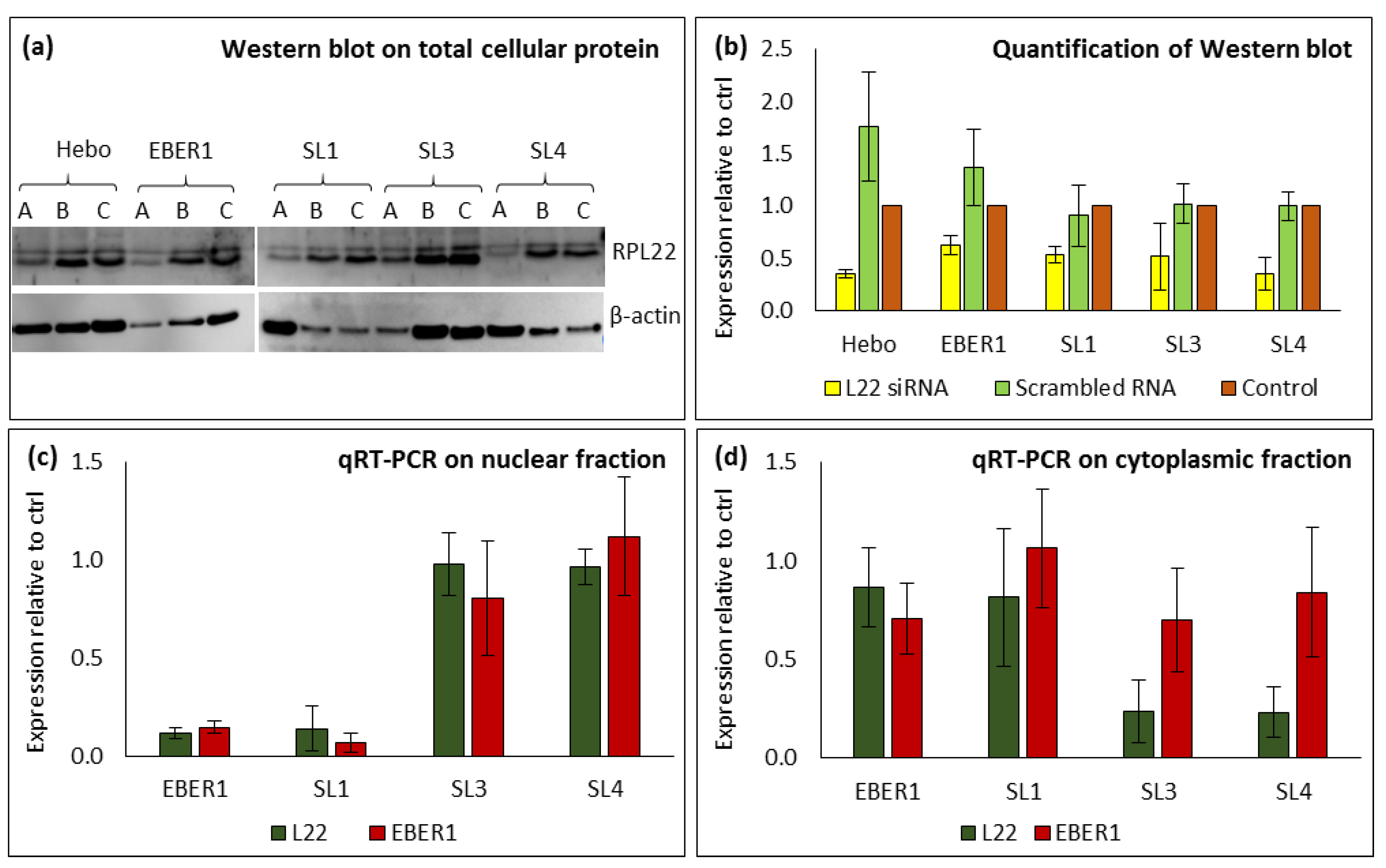 Preprints 72173 g005