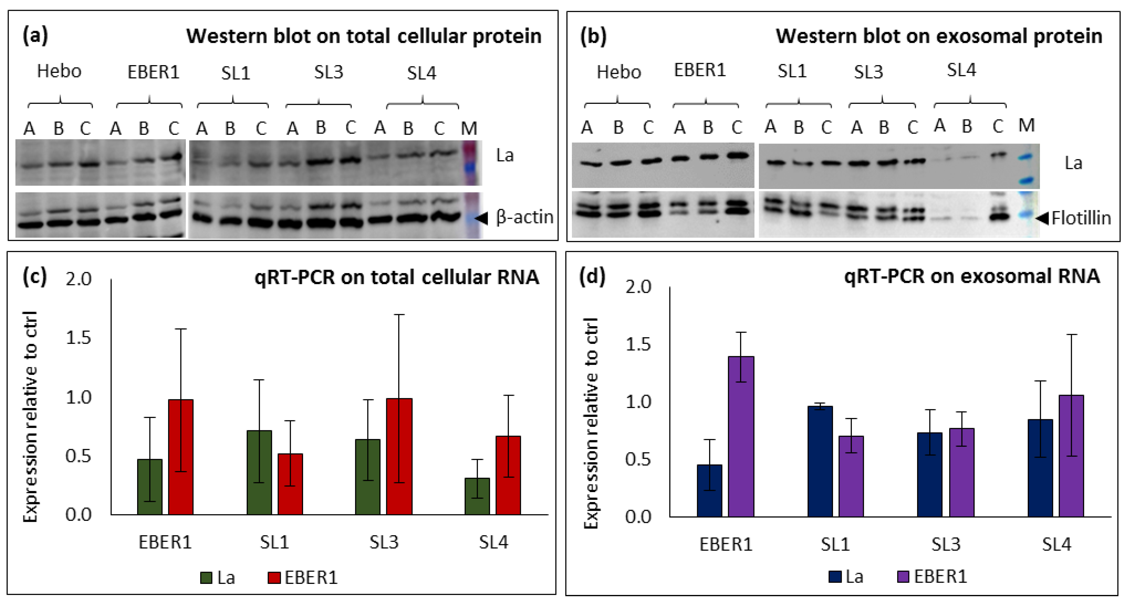 Preprints 72173 g006