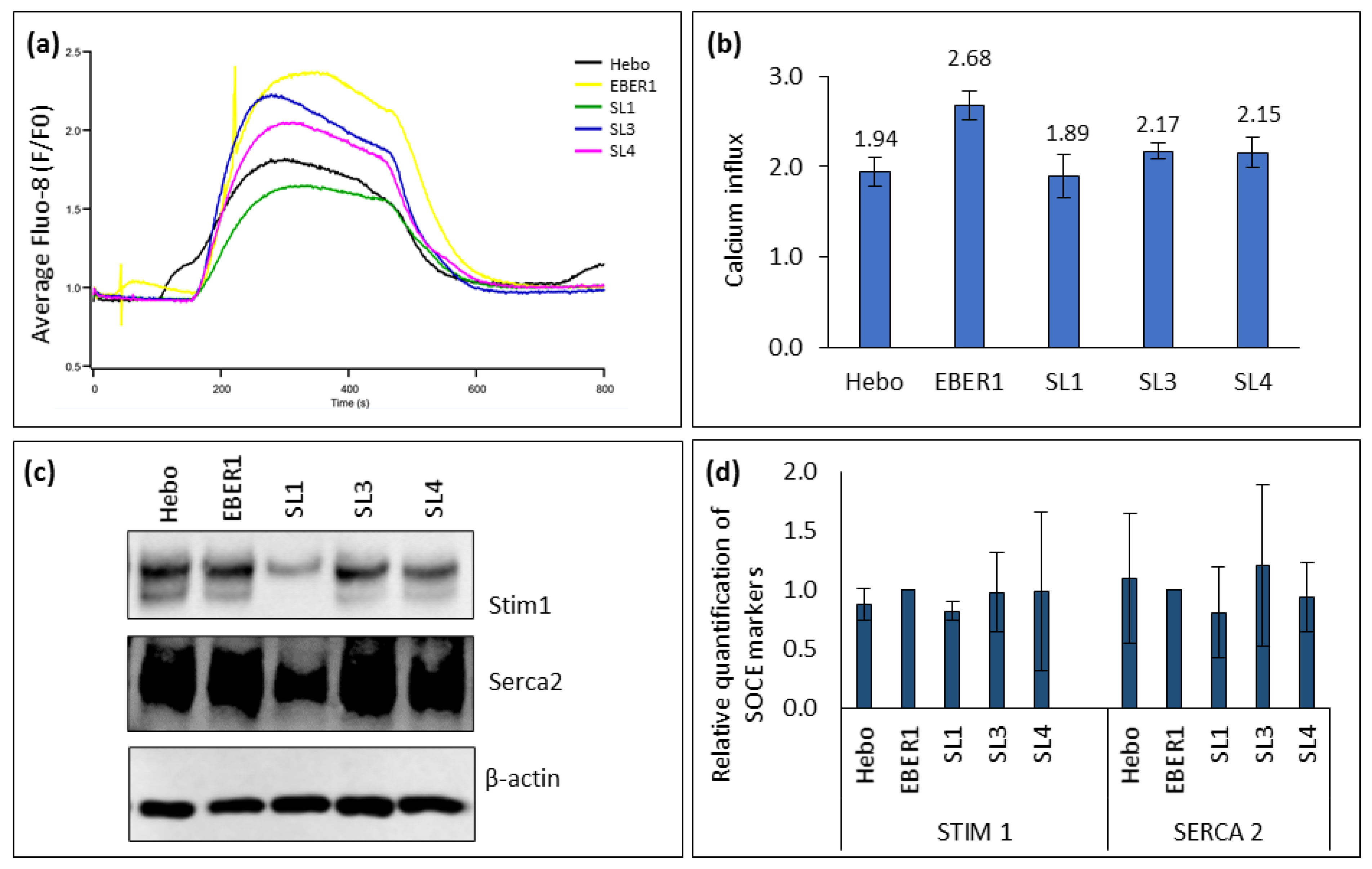 Preprints 72173 g007