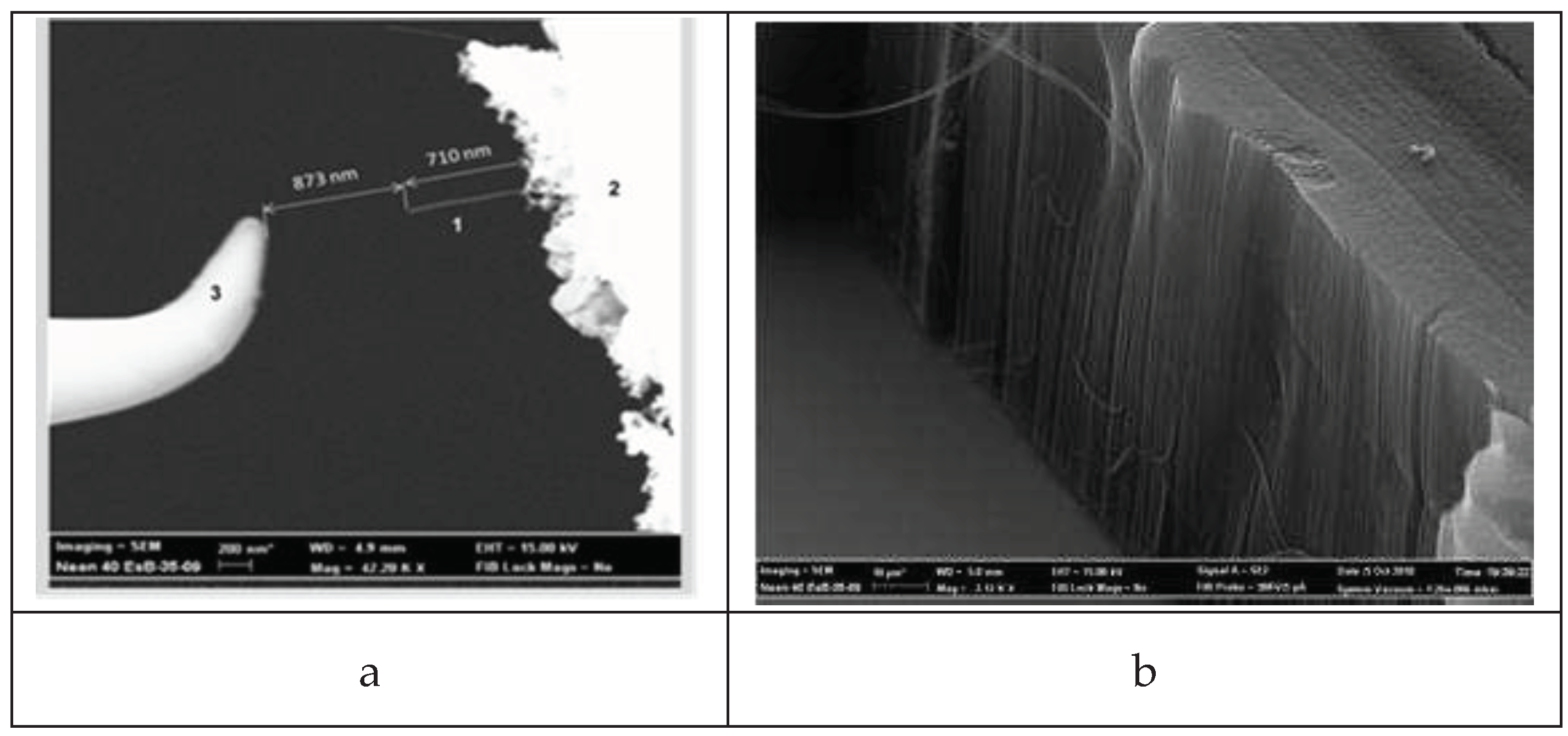 Preprints 80766 g001