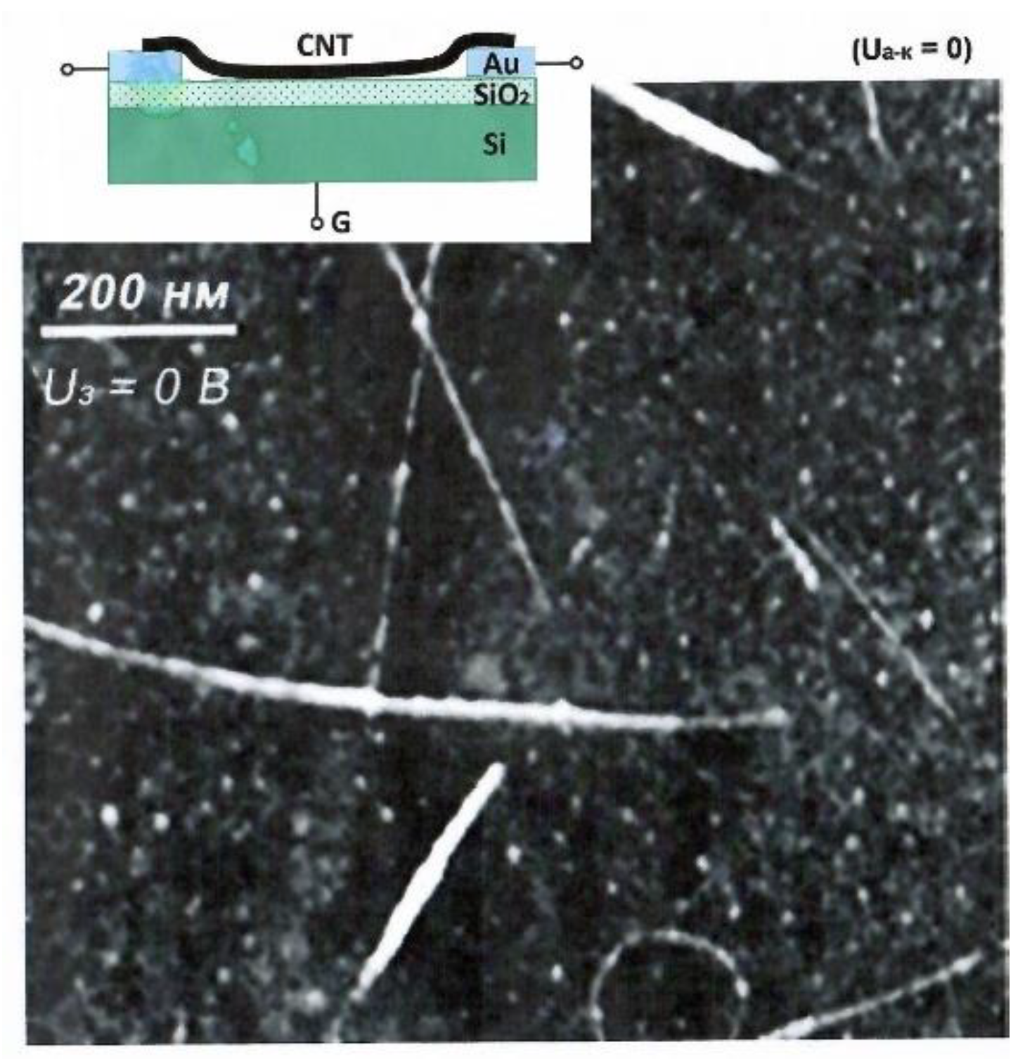 Preprints 80766 g004