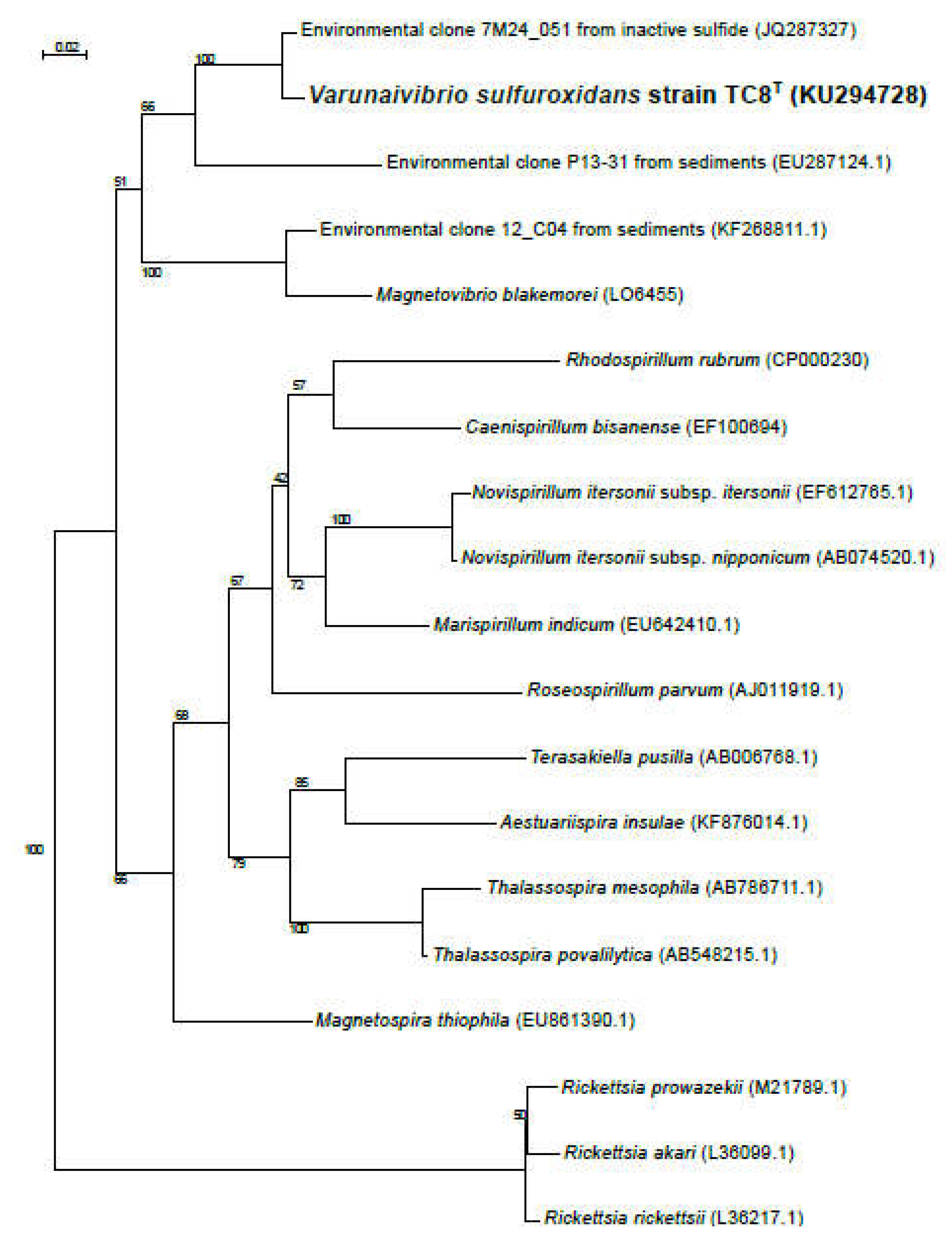 Preprints 70811 g001