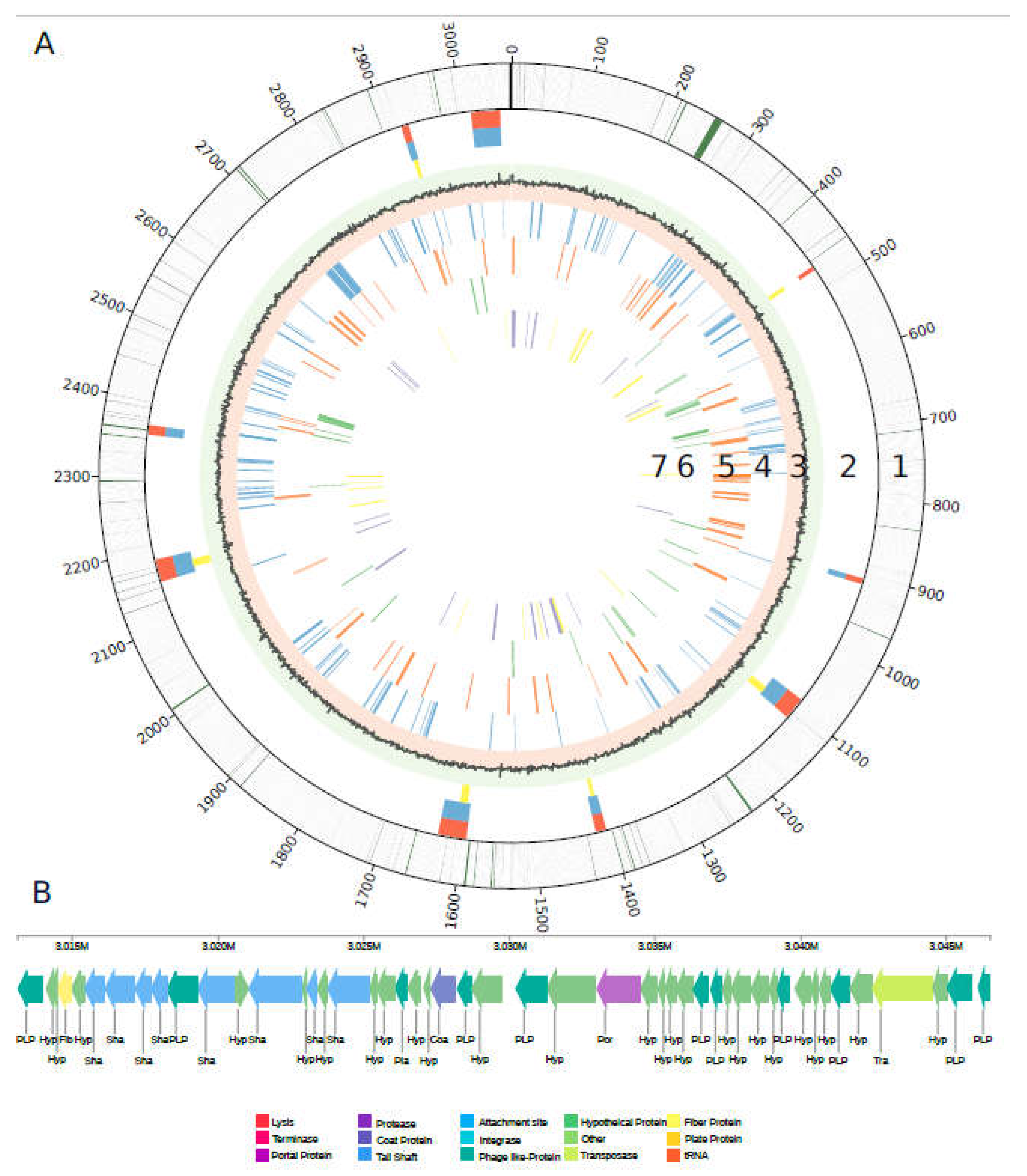 Preprints 70811 g002