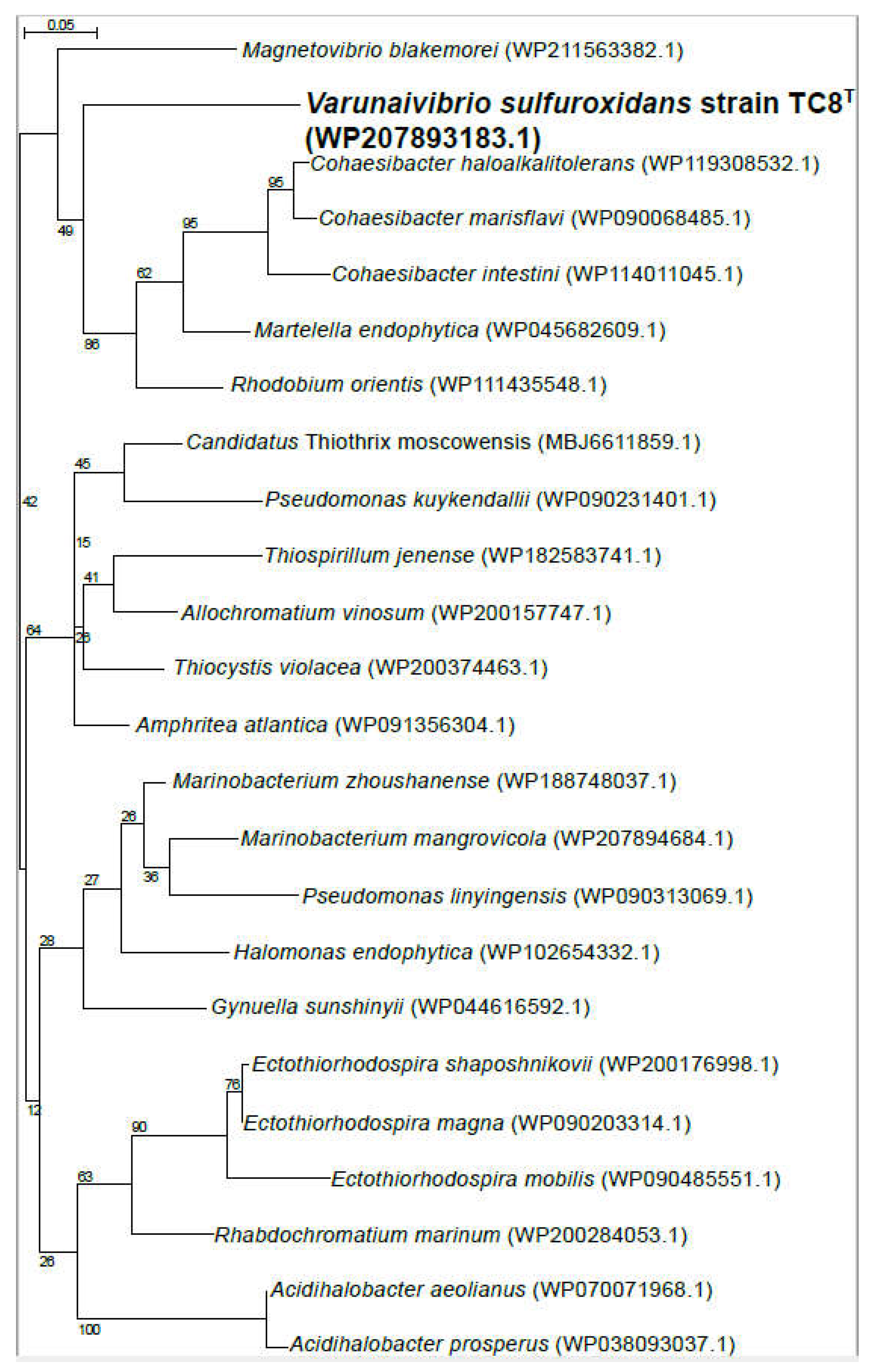 Preprints 70811 g004