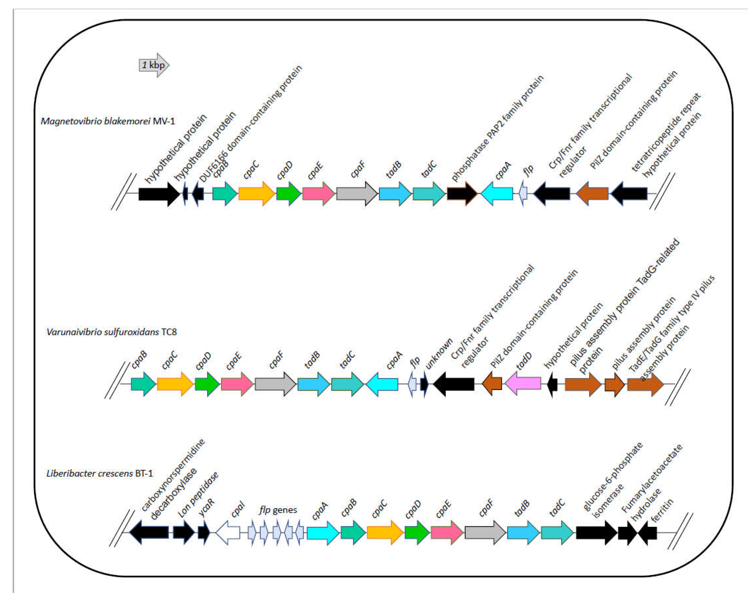 Preprints 70811 g005