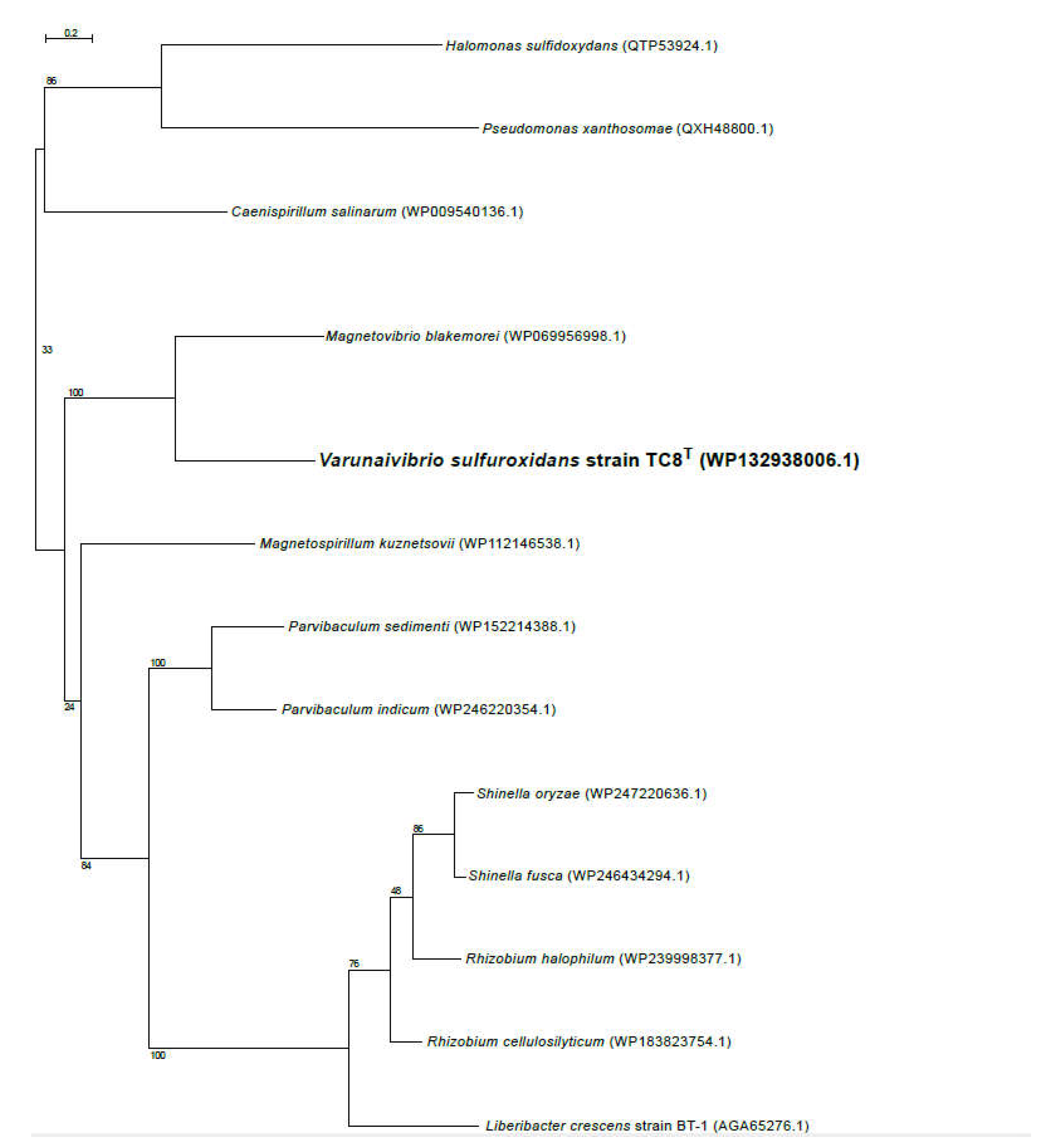 Preprints 70811 g006