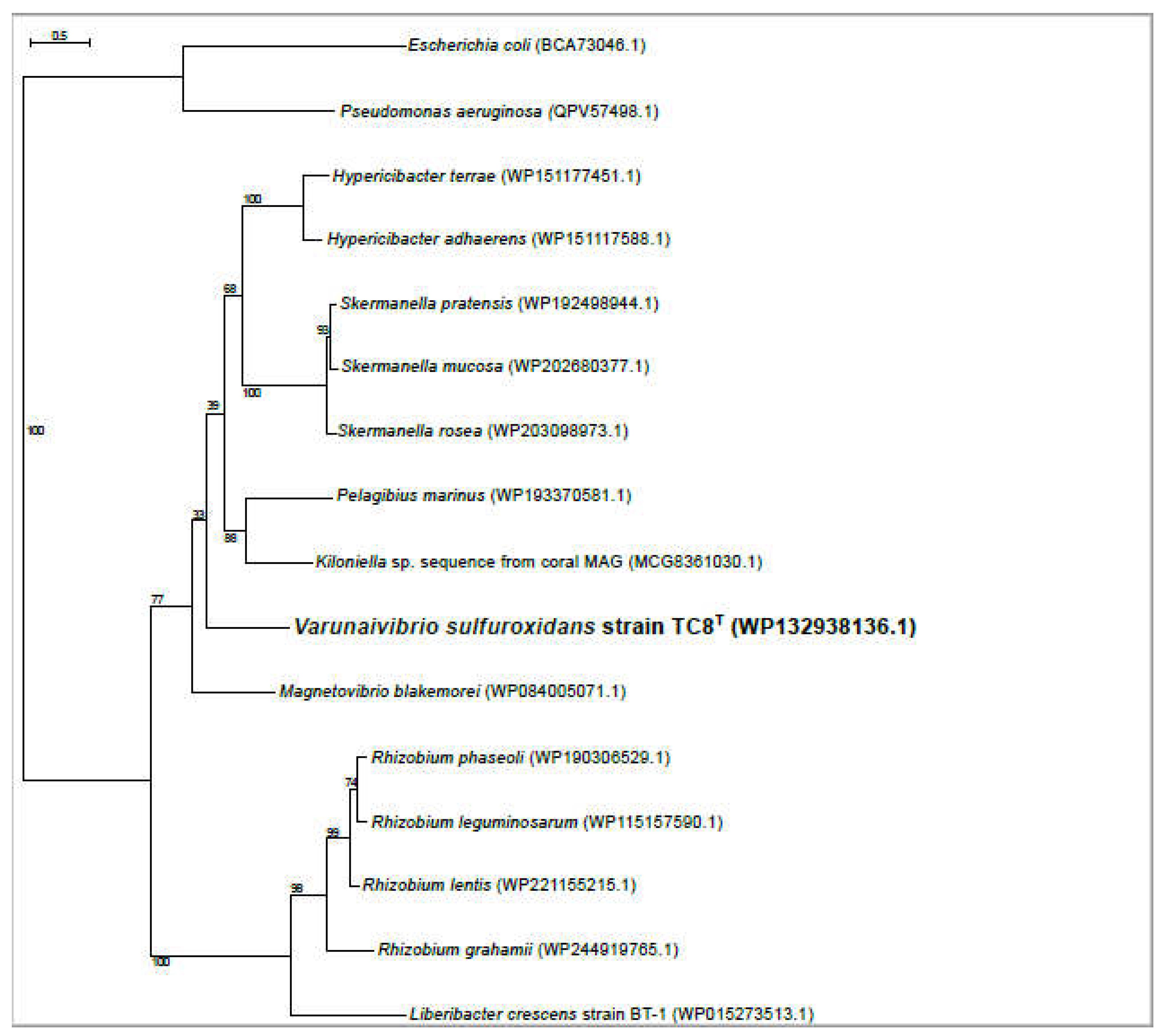 Preprints 70811 g007