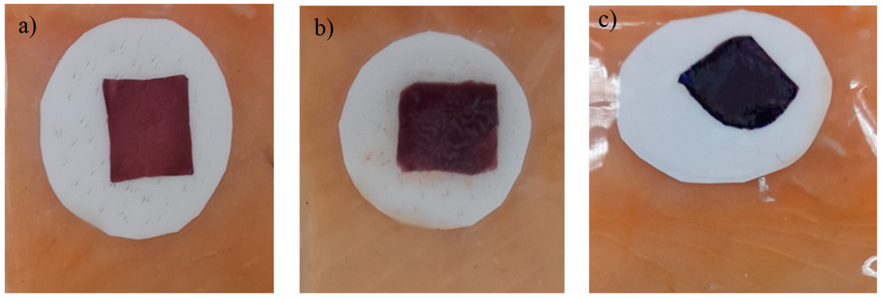 Preprints 93730 g017