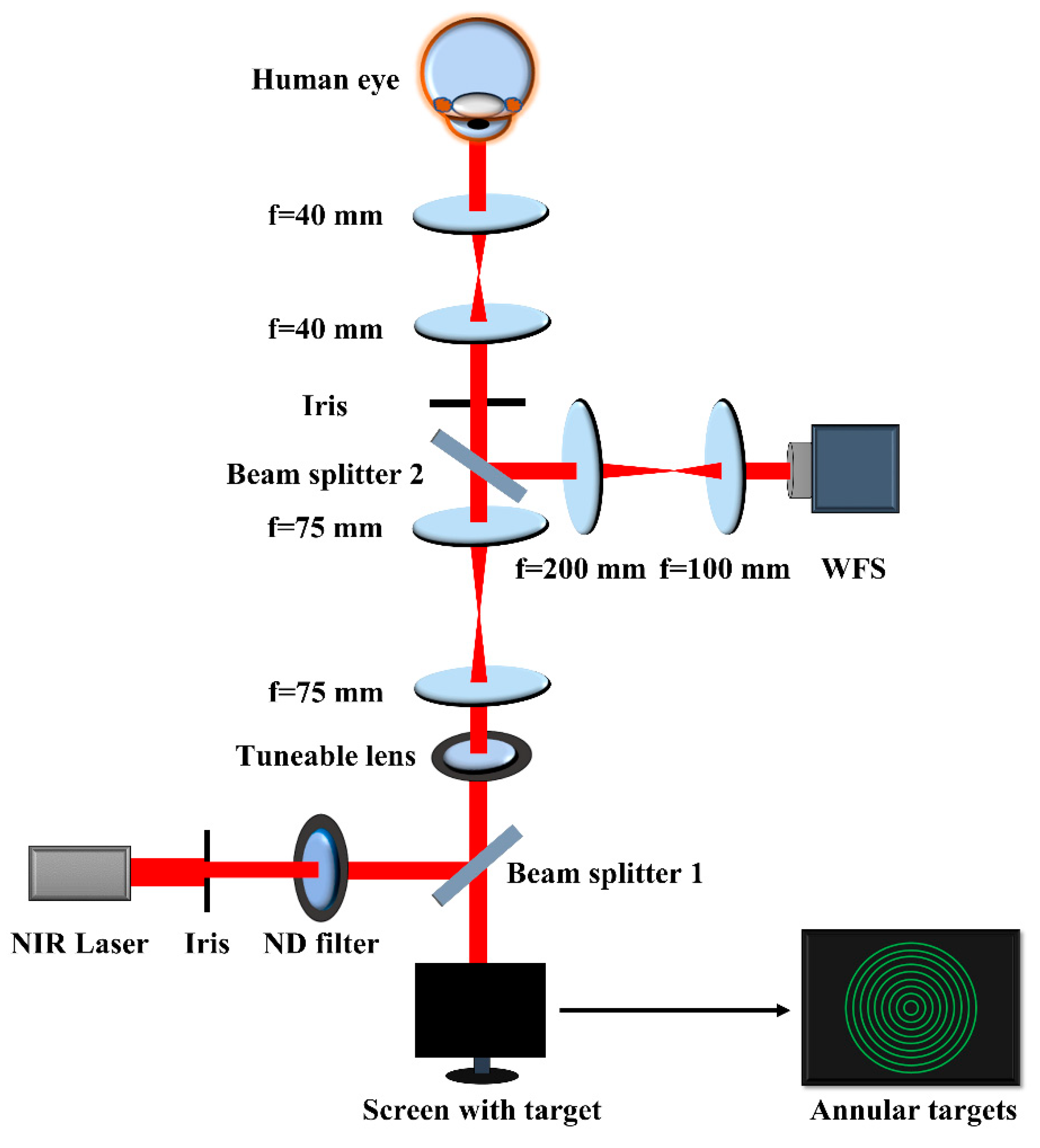 Preprints 78239 g001