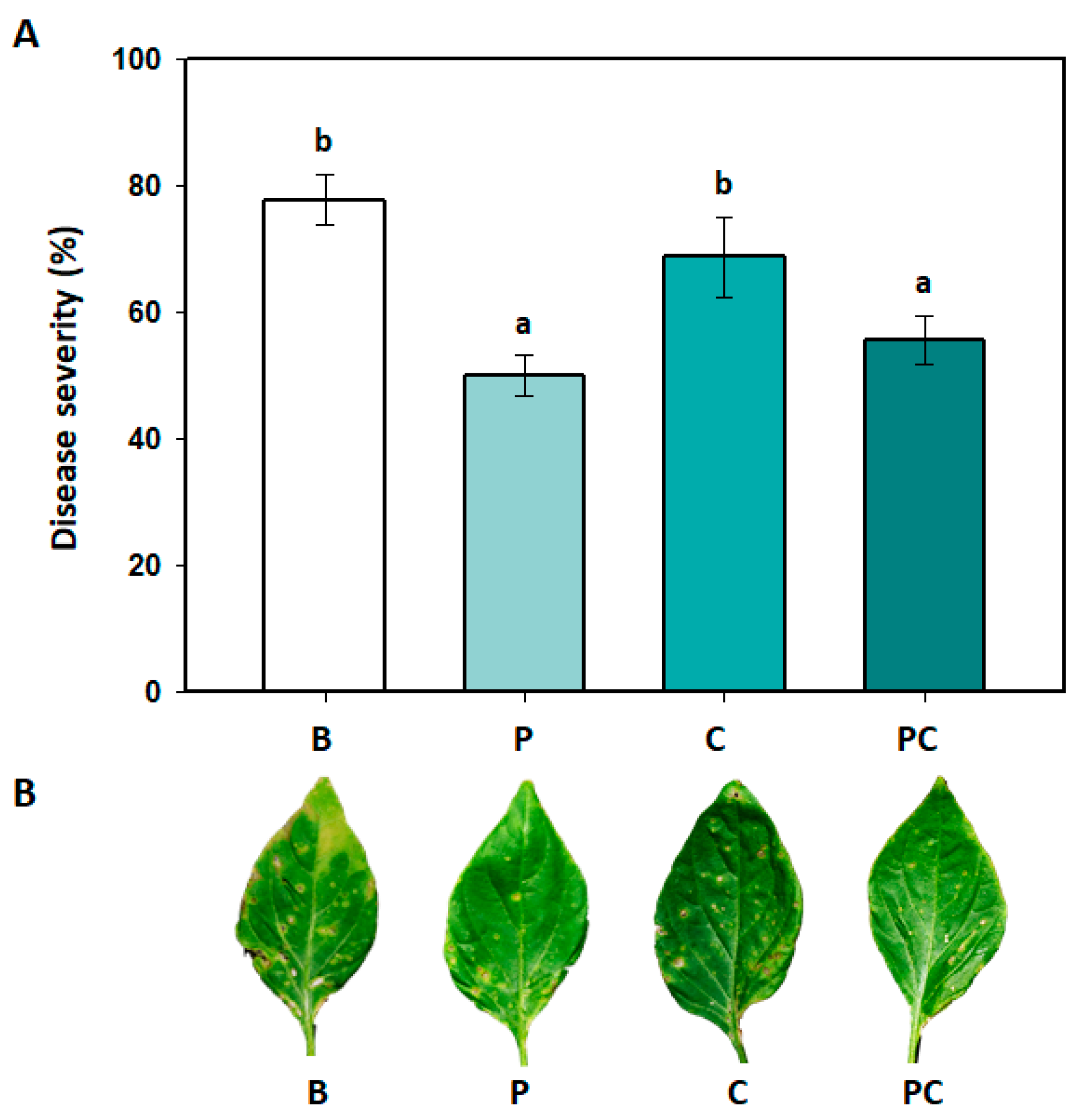 Preprints 75714 g007