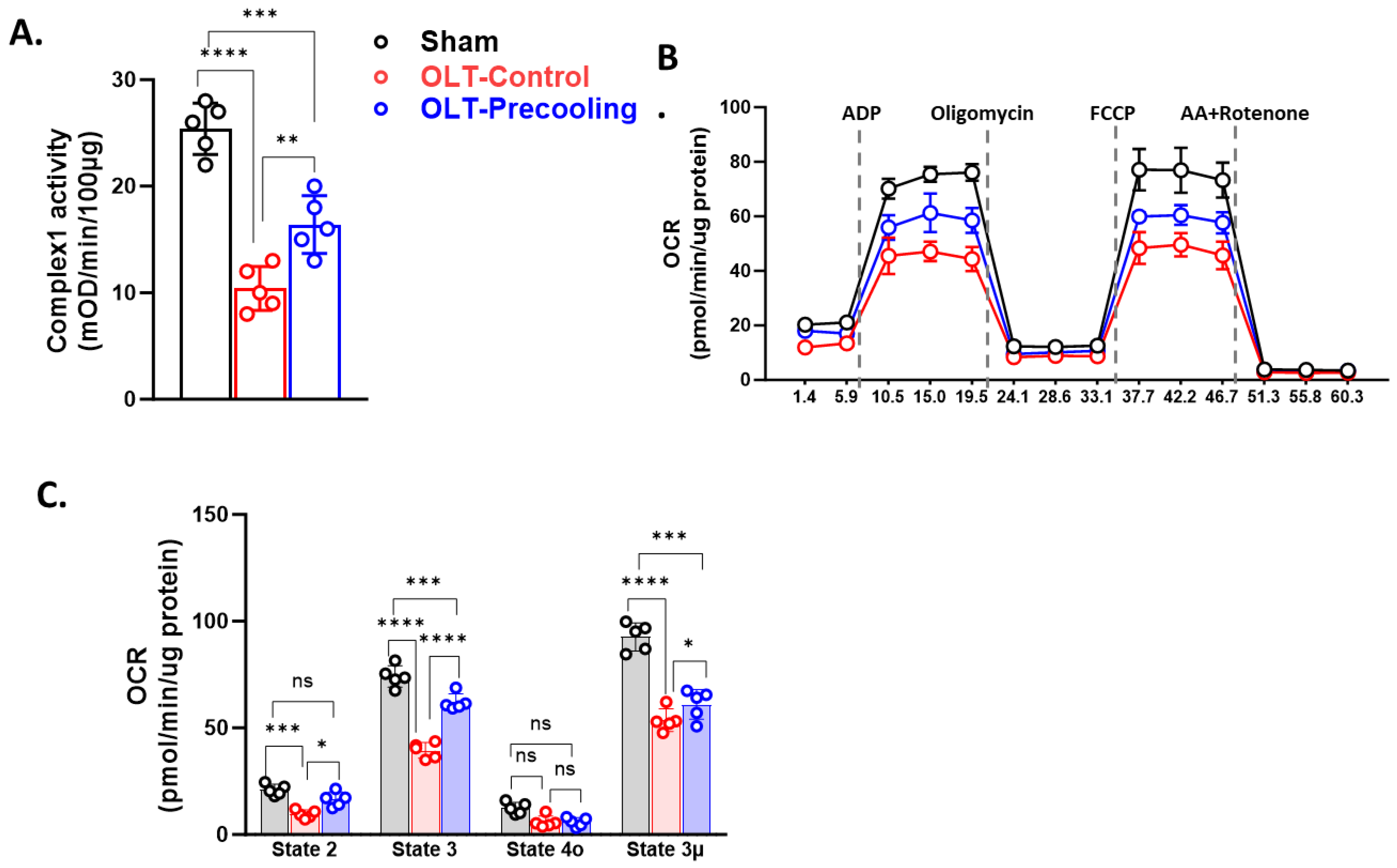 Preprints 107040 g003