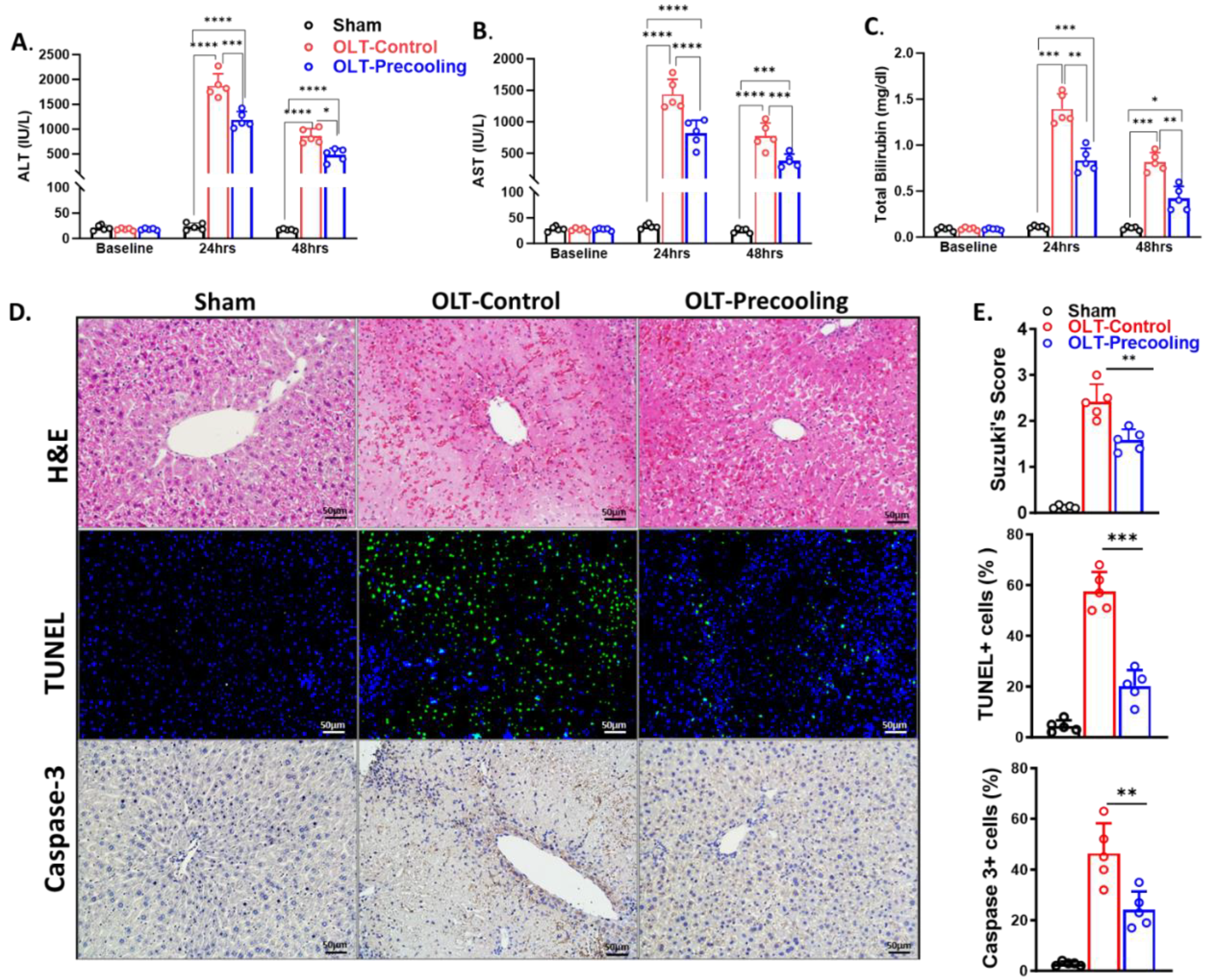 Preprints 107040 g004