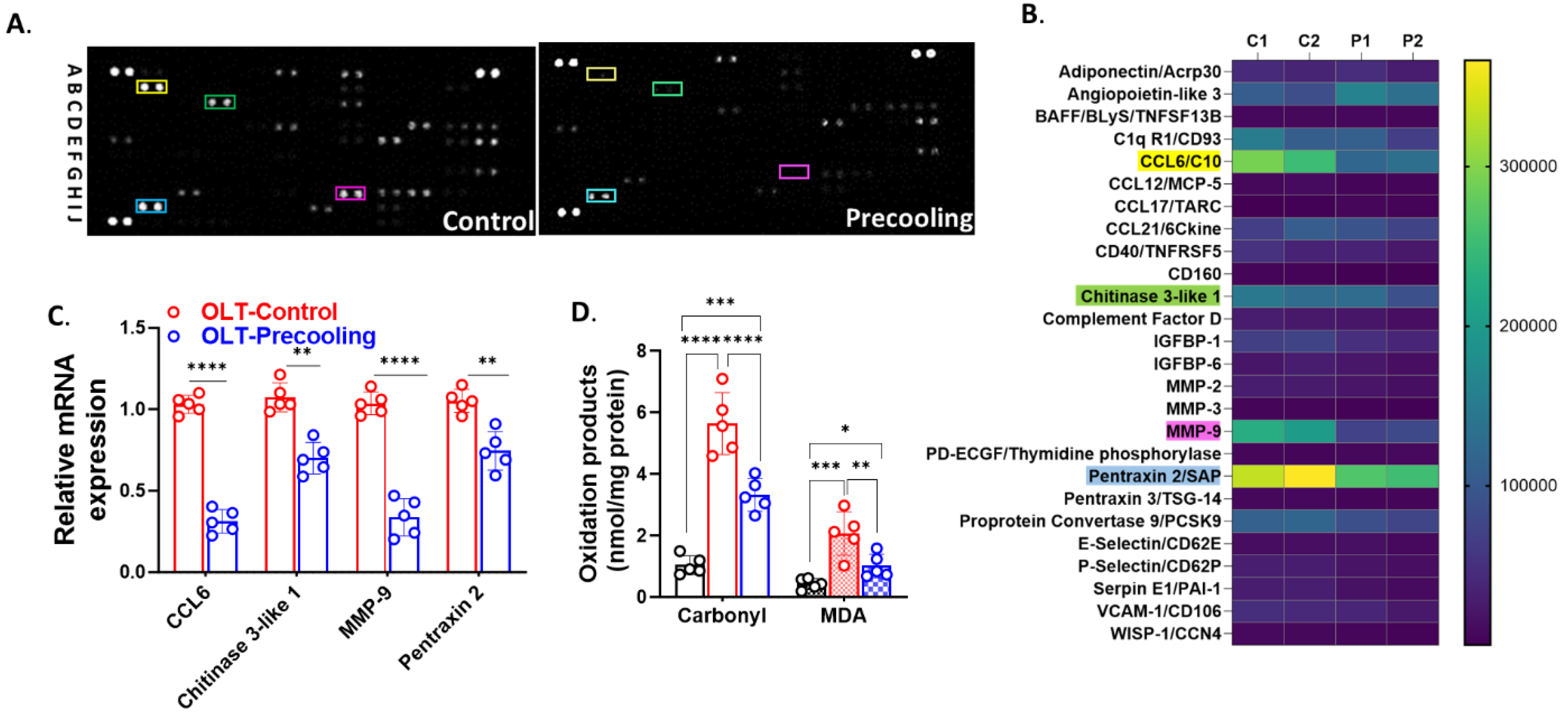 Preprints 107040 g005