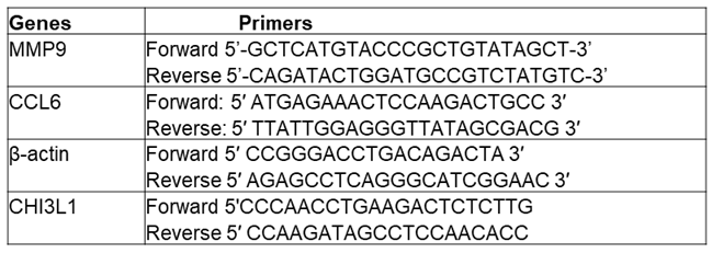 Preprints 107040 i001