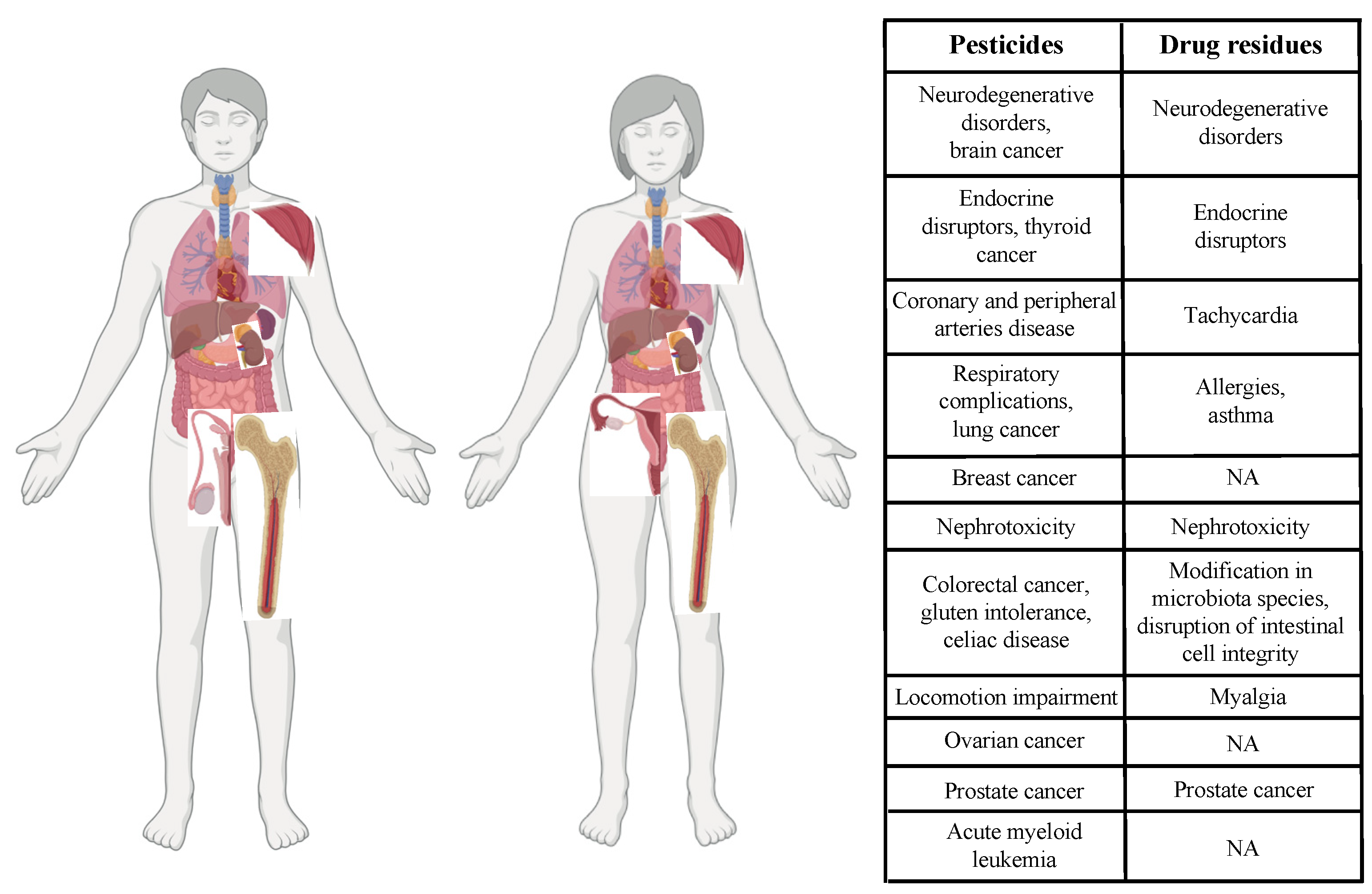 Preprints 114899 g004