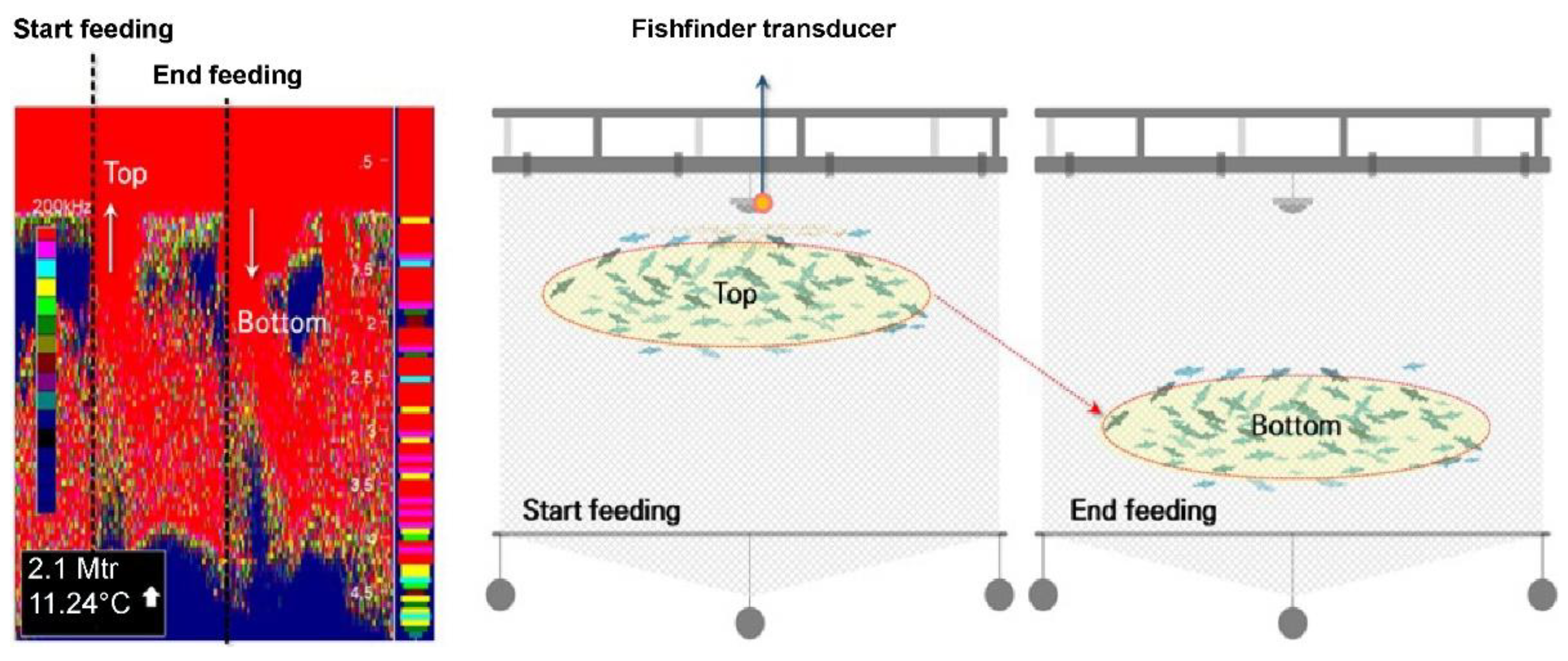 Preprints 80495 g007