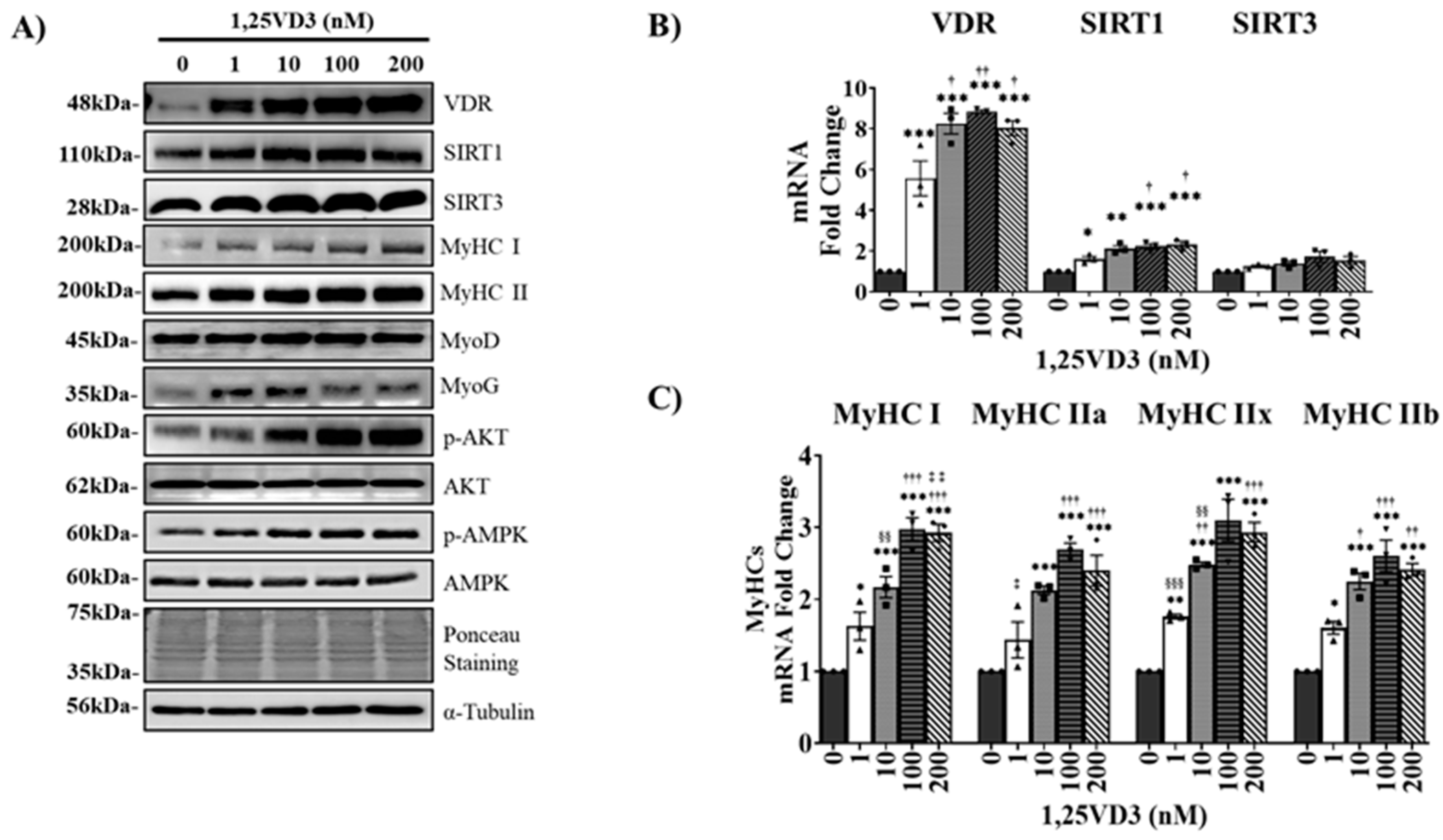 Preprints 85783 g001