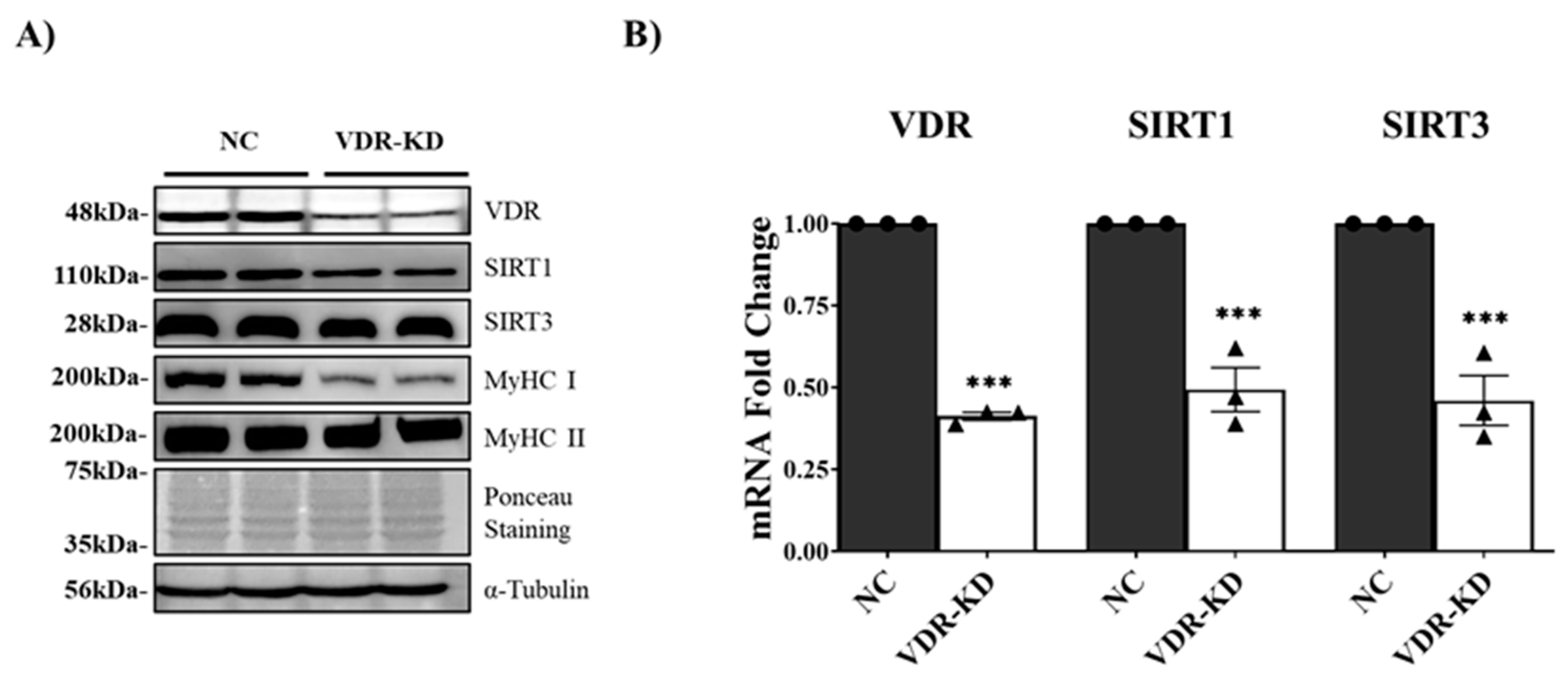 Preprints 85783 g002