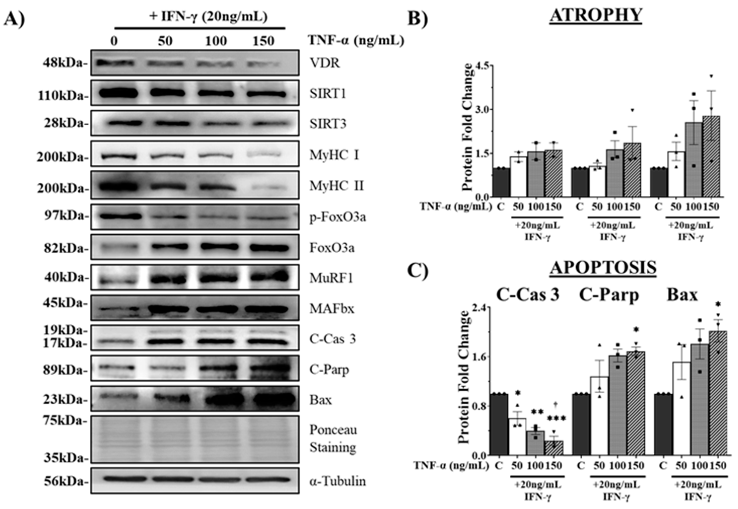 Preprints 85783 g003